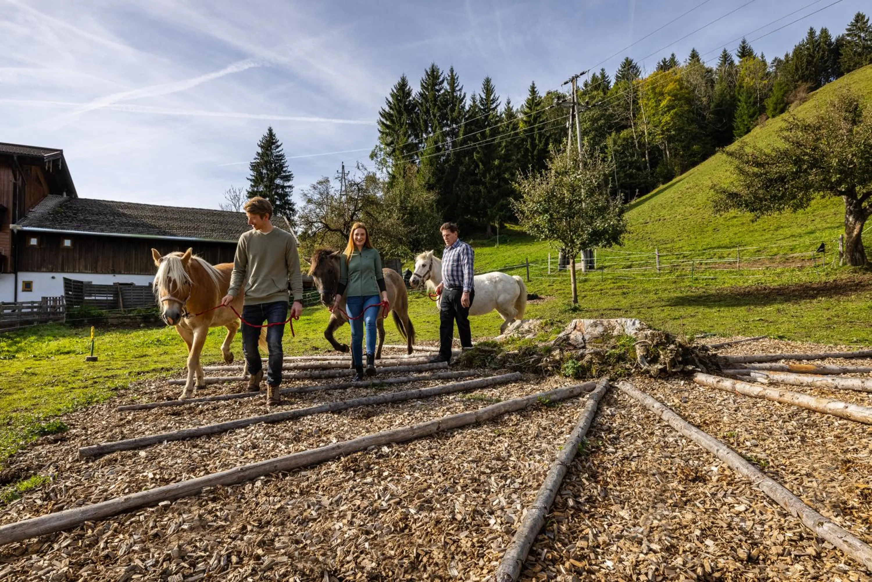 Animals in Laubichlhof