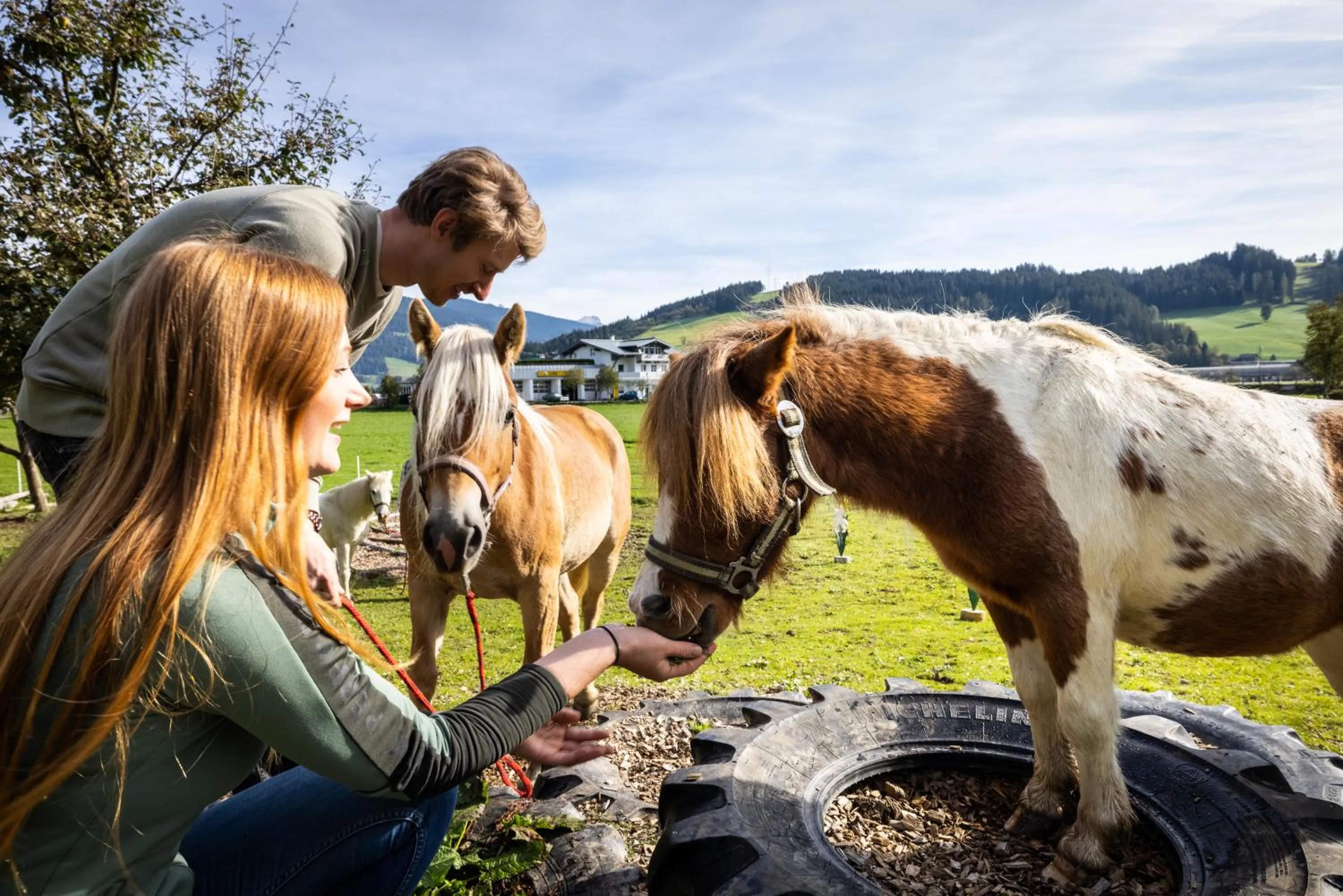 Animals in Laubichlhof