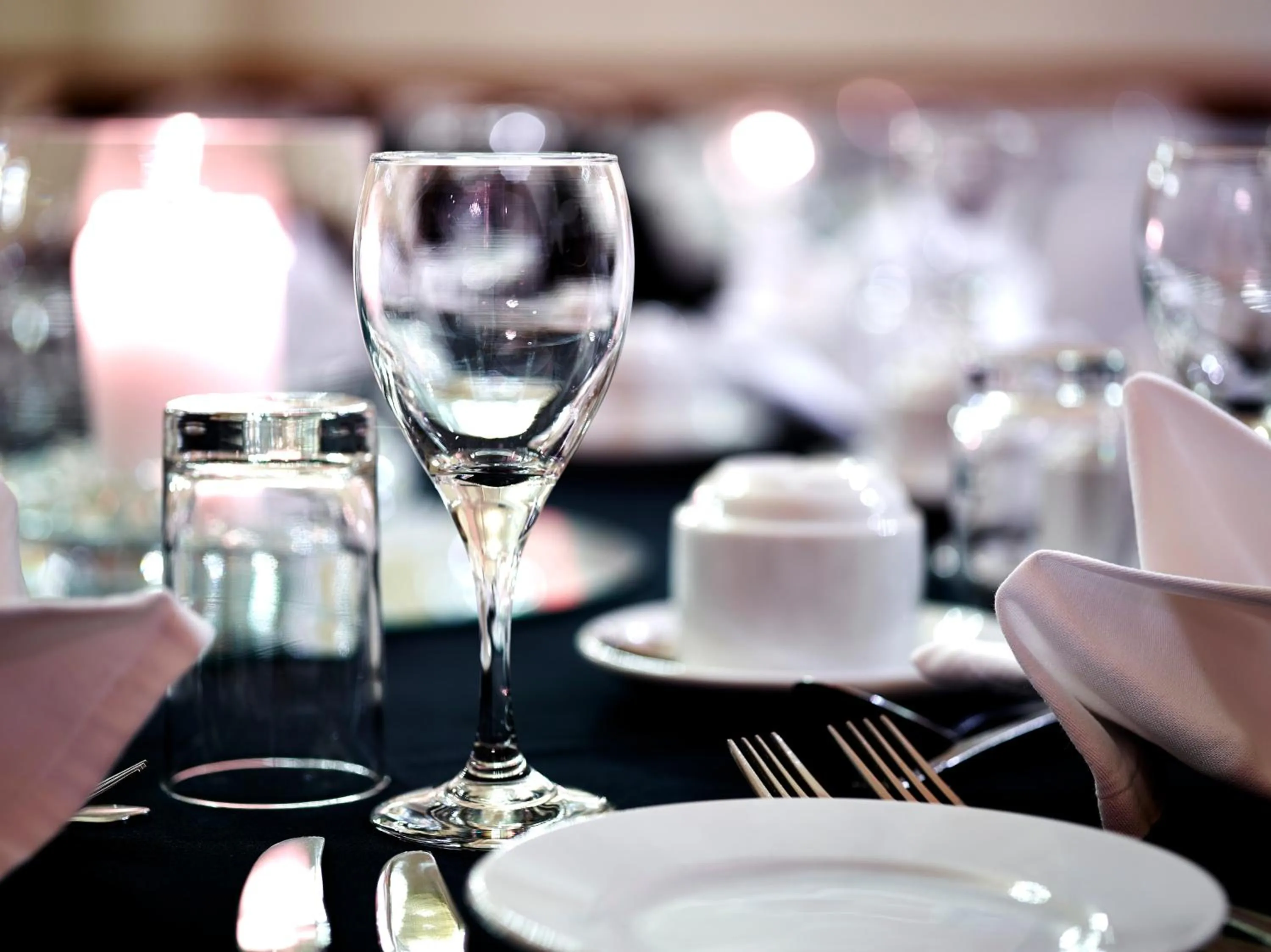 Banquet/Function facilities in The Briar Court Hotel