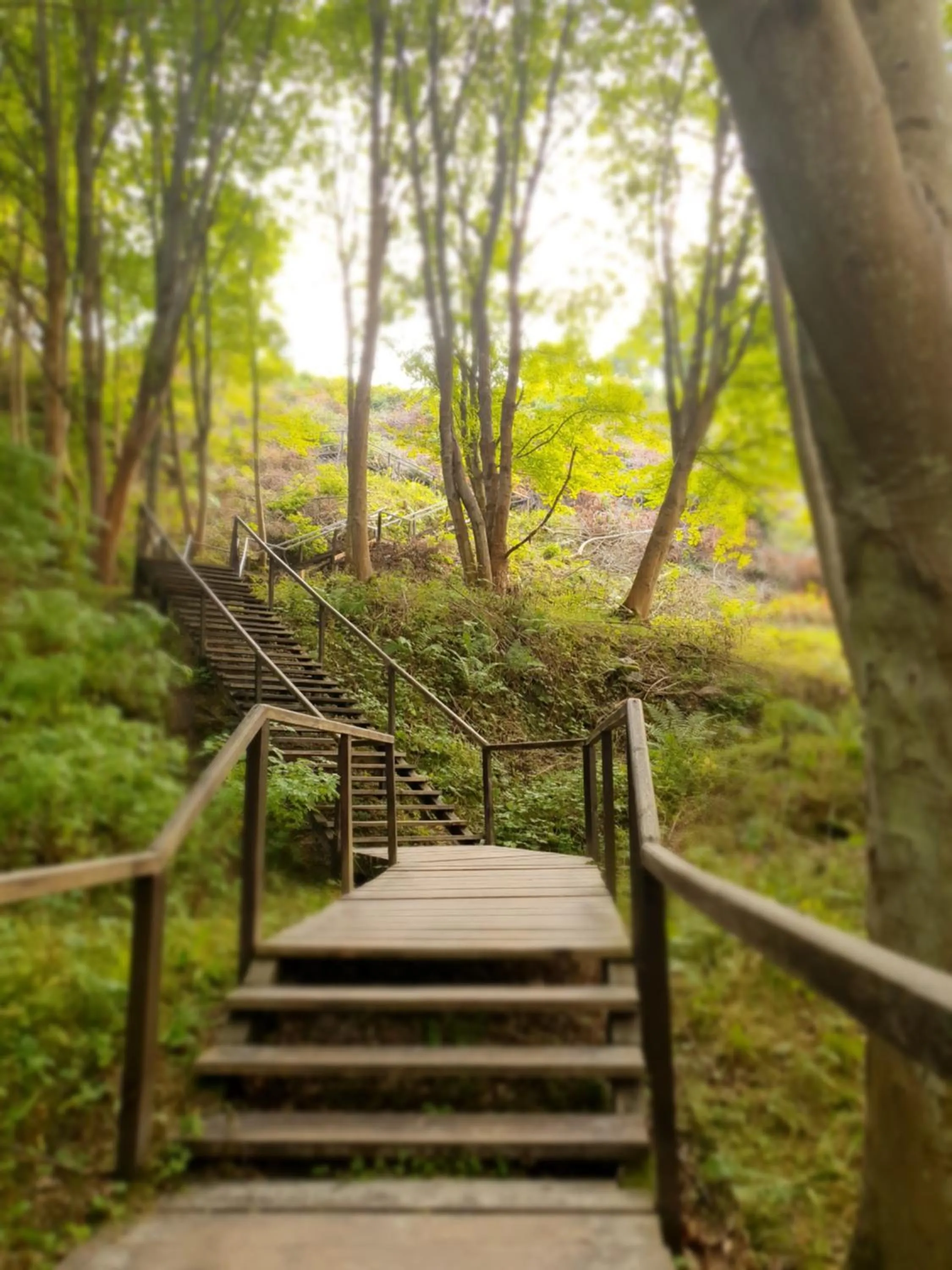 Windsurfing in Willa Vinci Rozewie