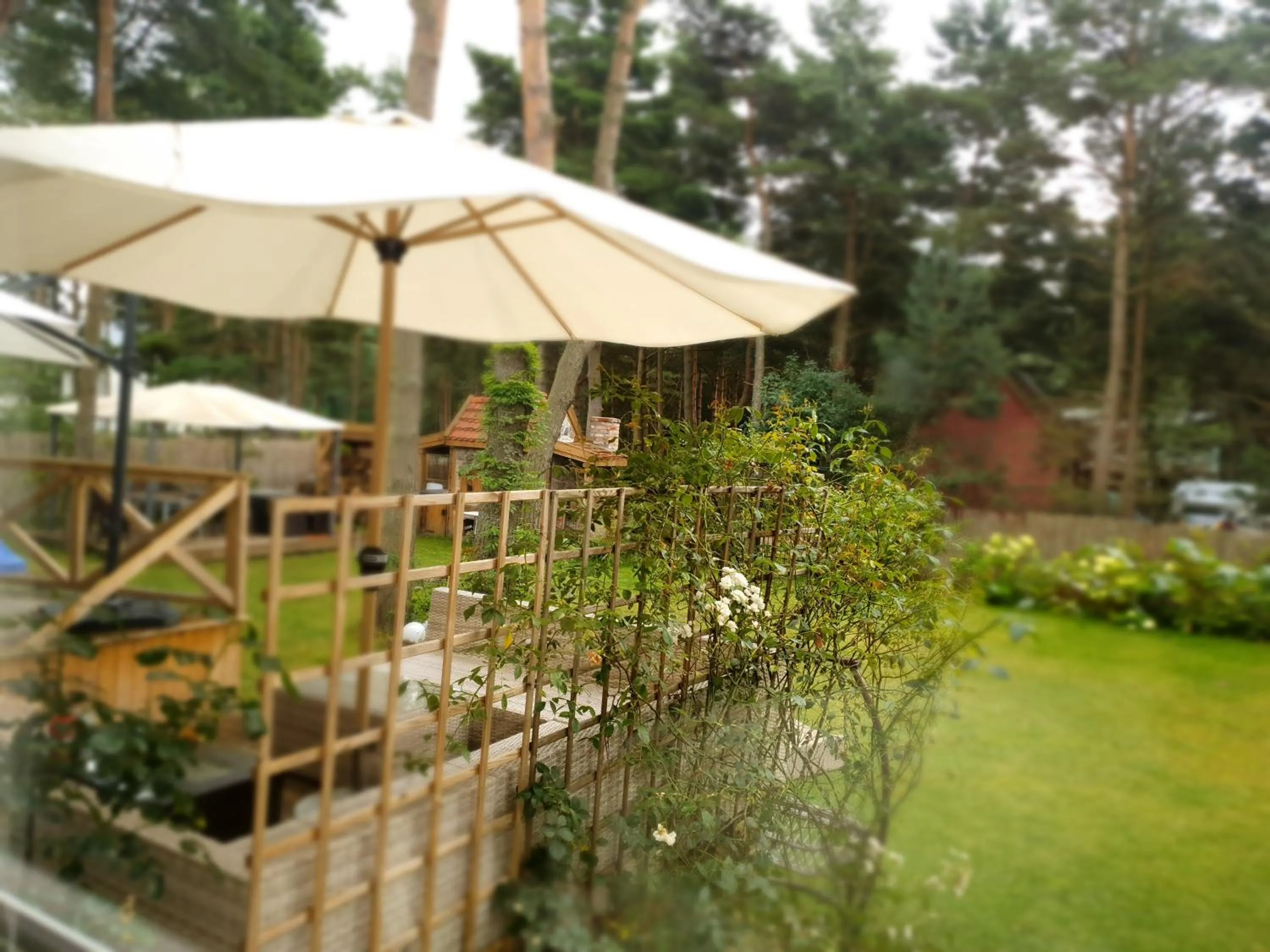 Garden in Willa Vinci Rozewie