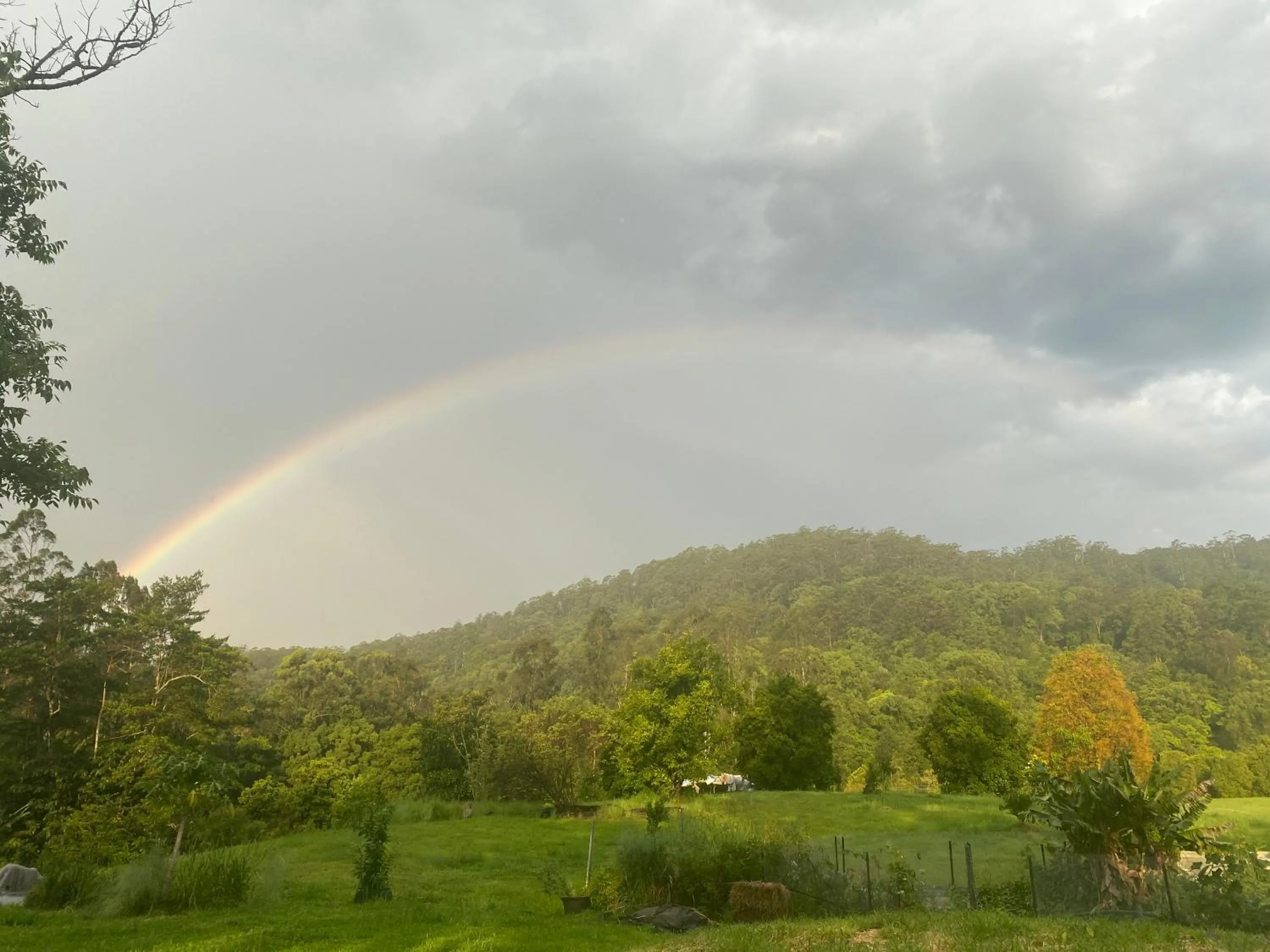 Natural landscape in Nimbin waterfall retreat