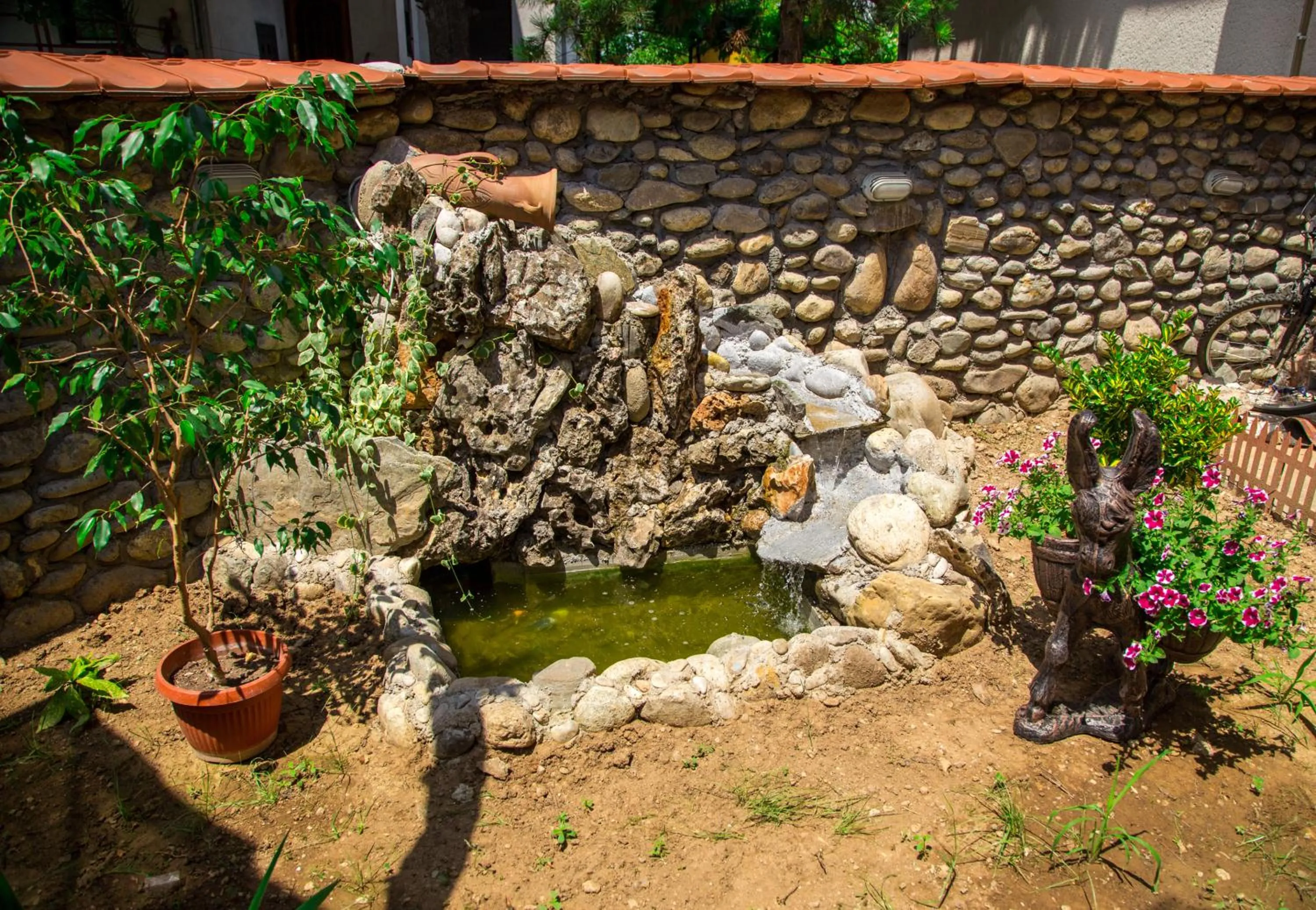 Garden in The Comfy Hostel