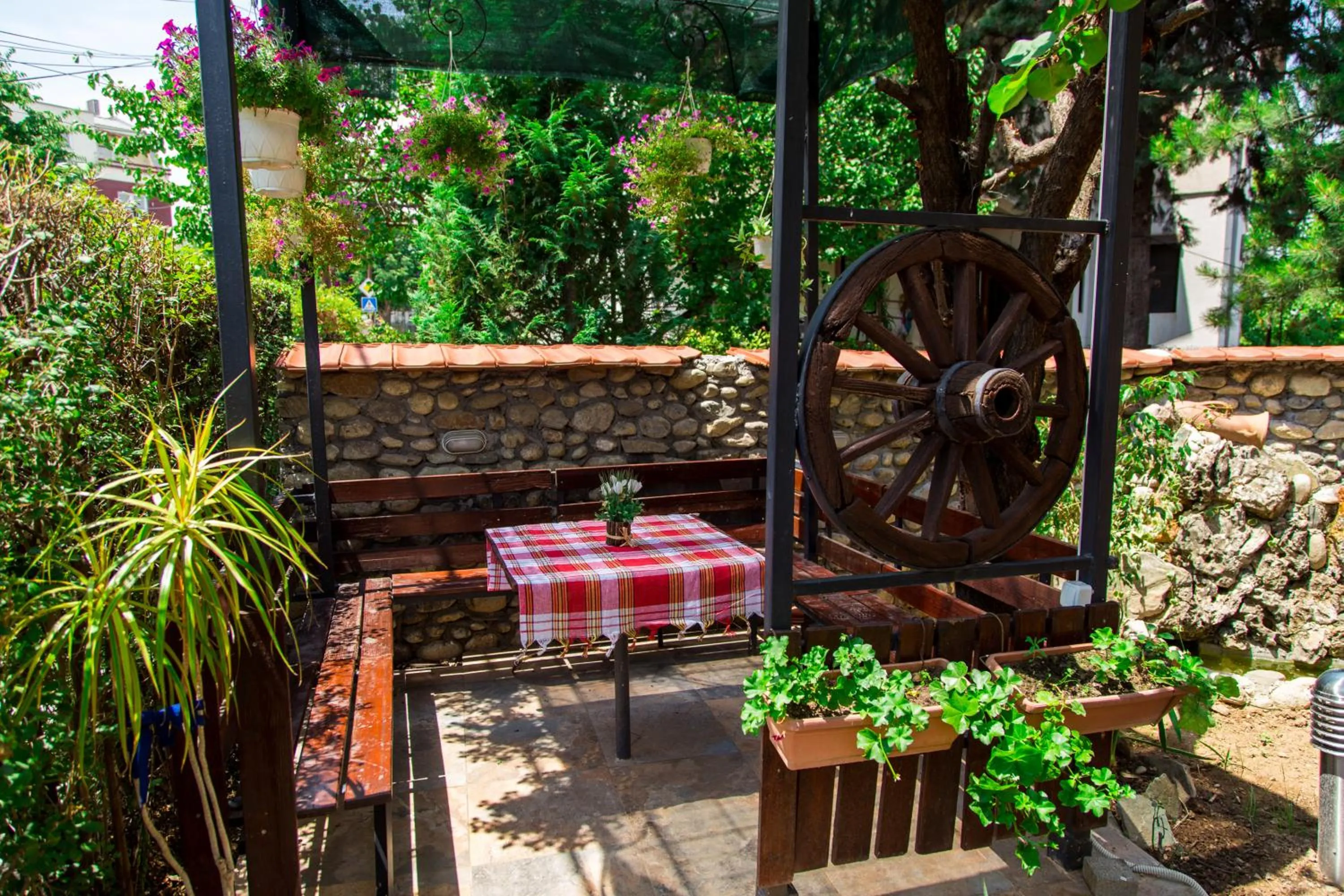 Garden in The Comfy Hostel