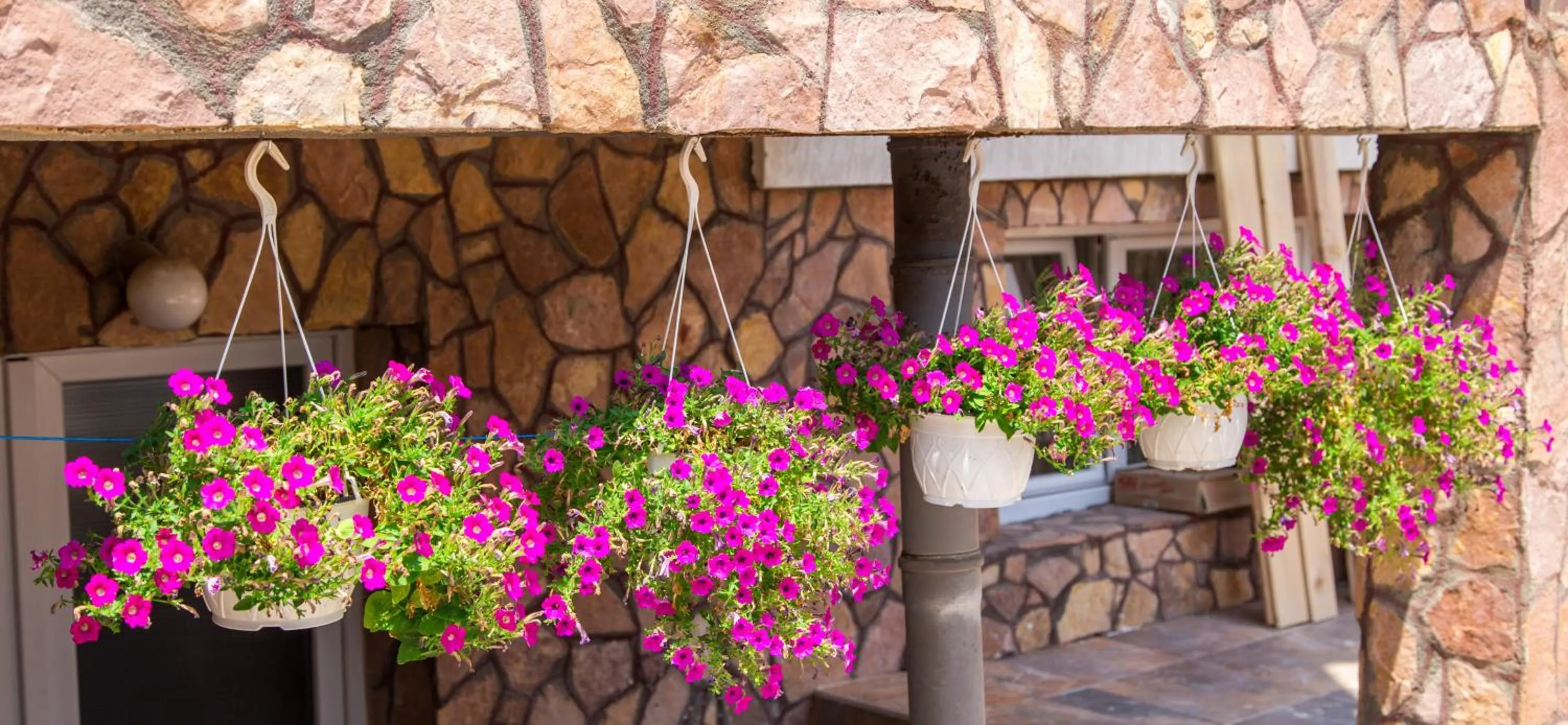 Day in The Comfy Hostel