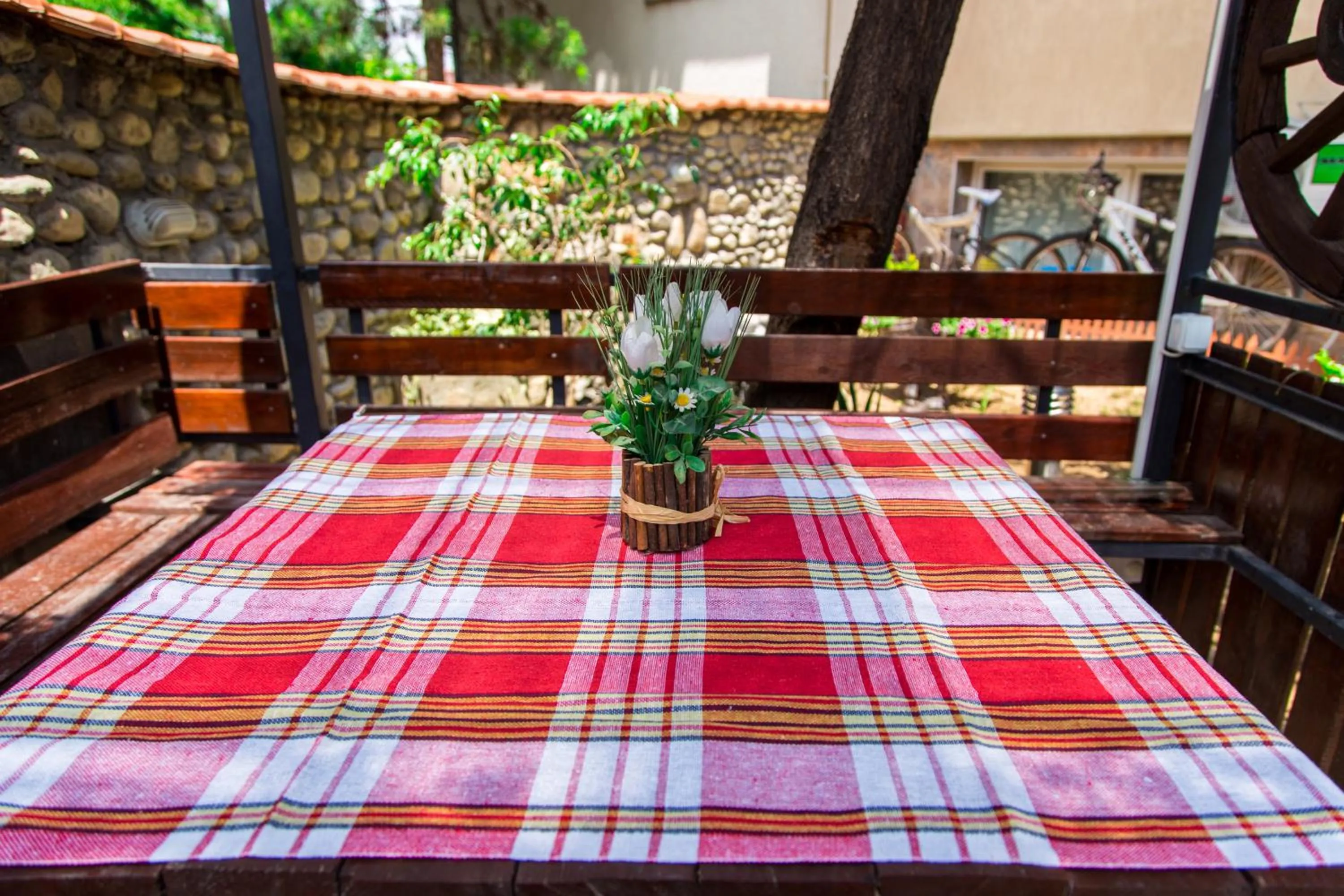 Garden in The Comfy Hostel