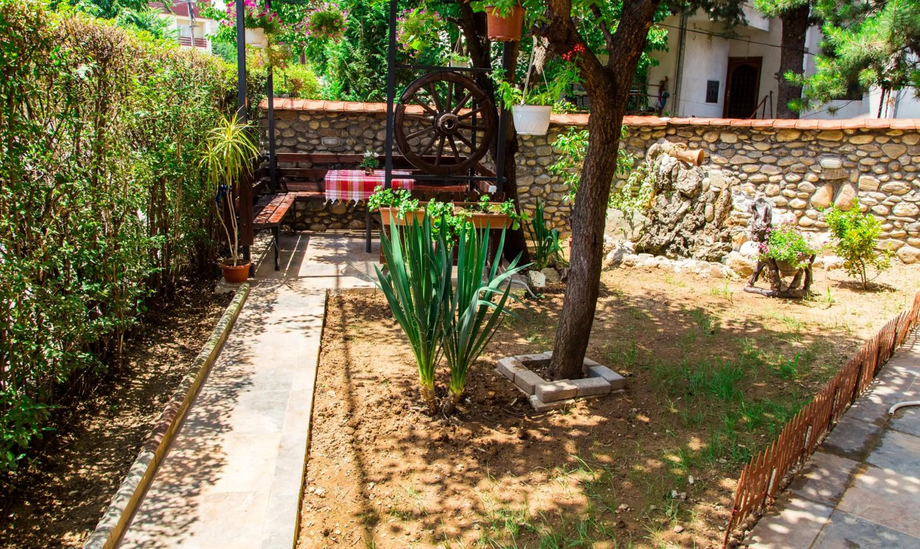 Garden in The Comfy Hostel