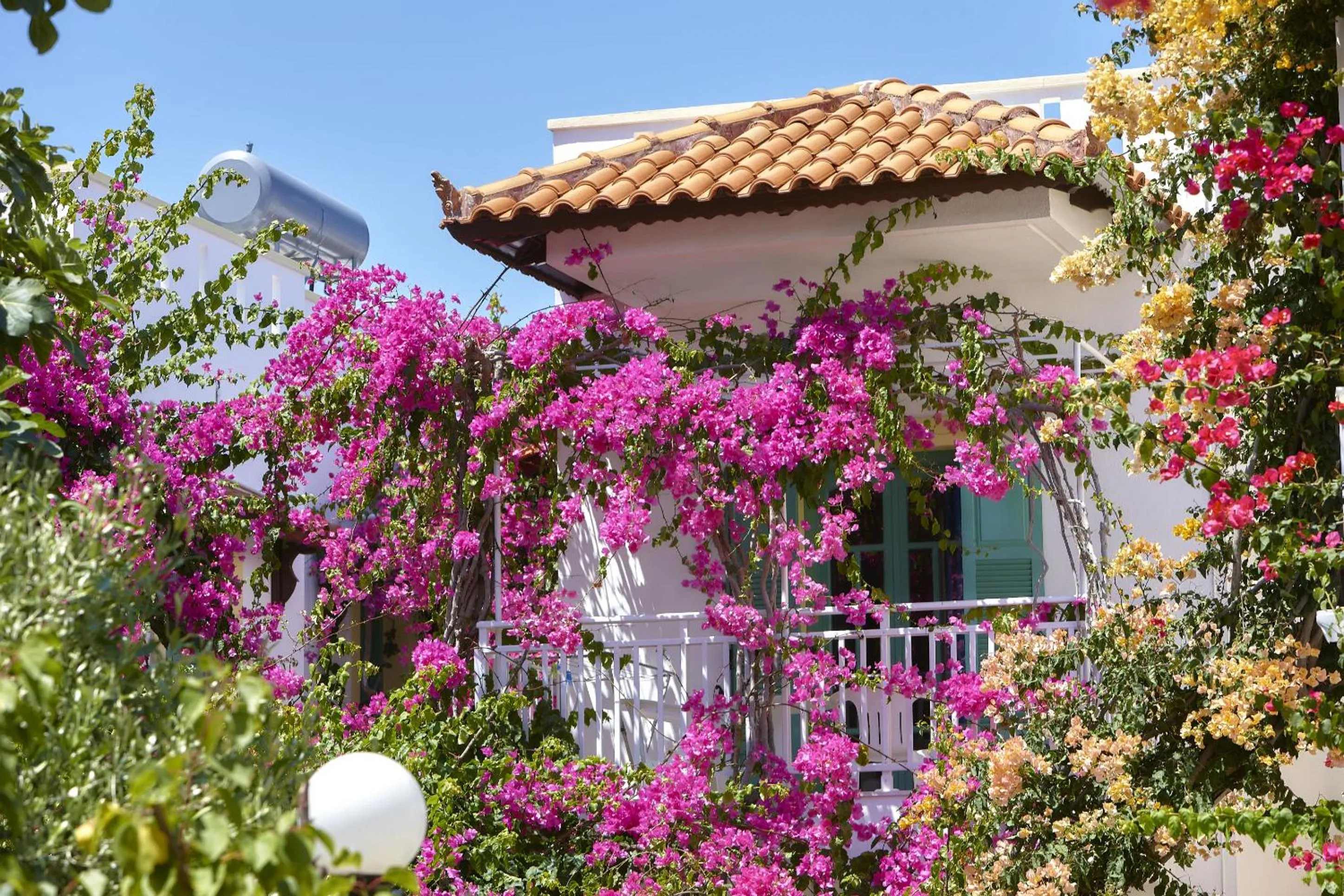 Garden in Paul Marie