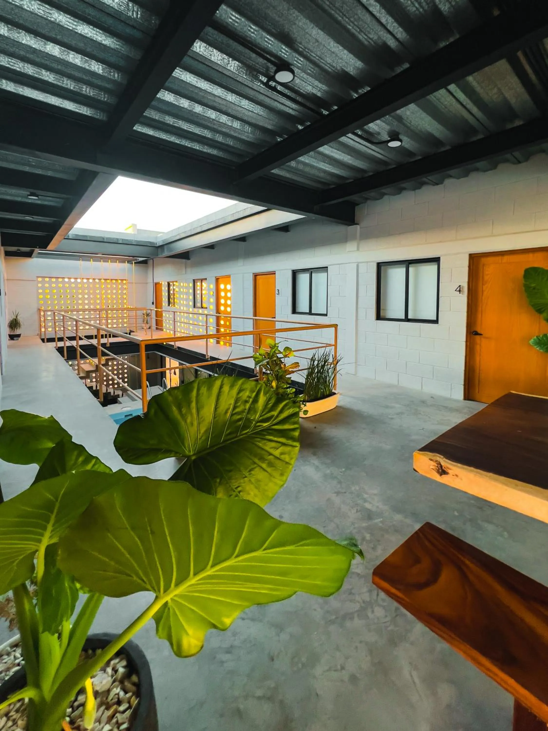 Patio in Sealion Dive Center