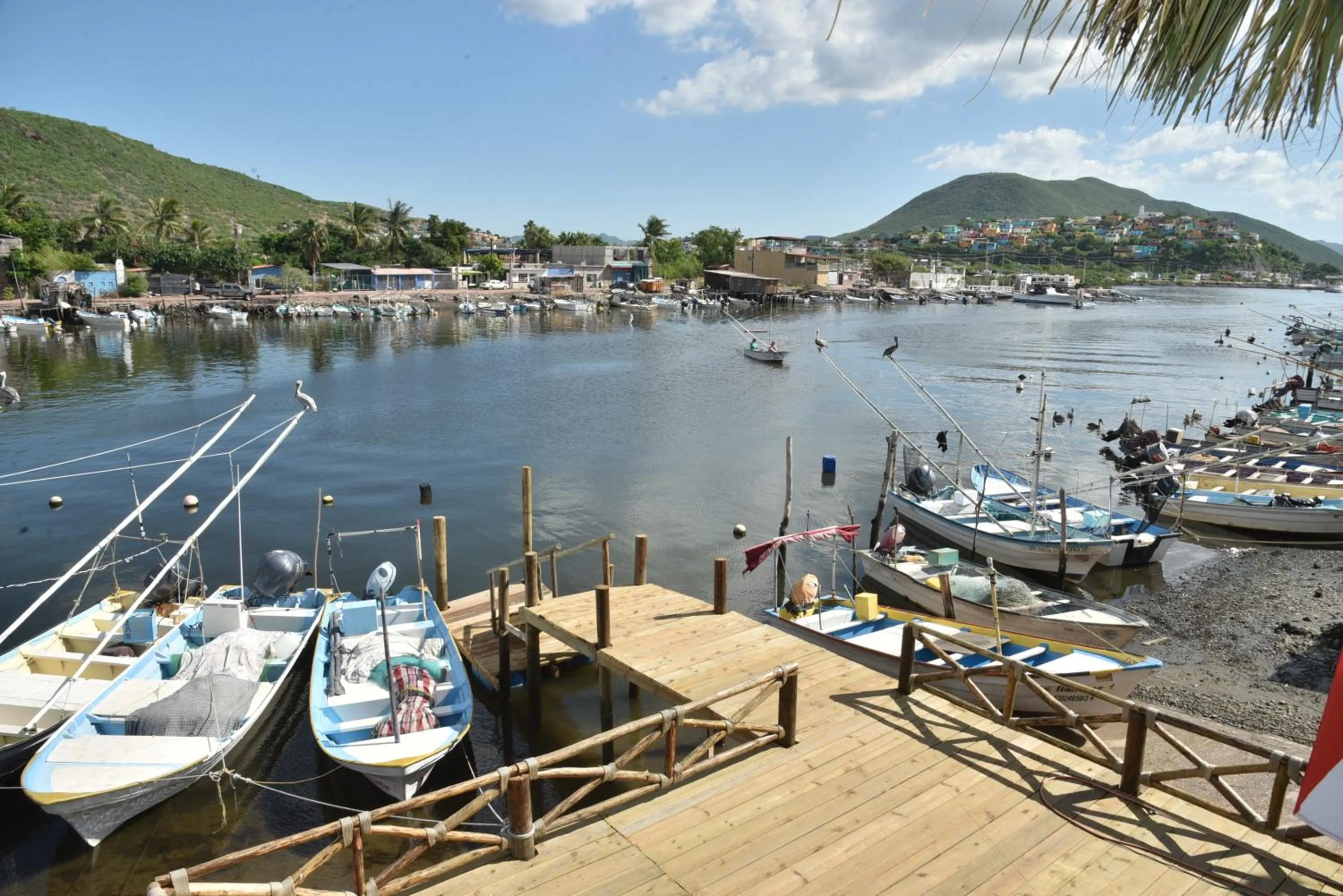 Day in Sealion Dive Center