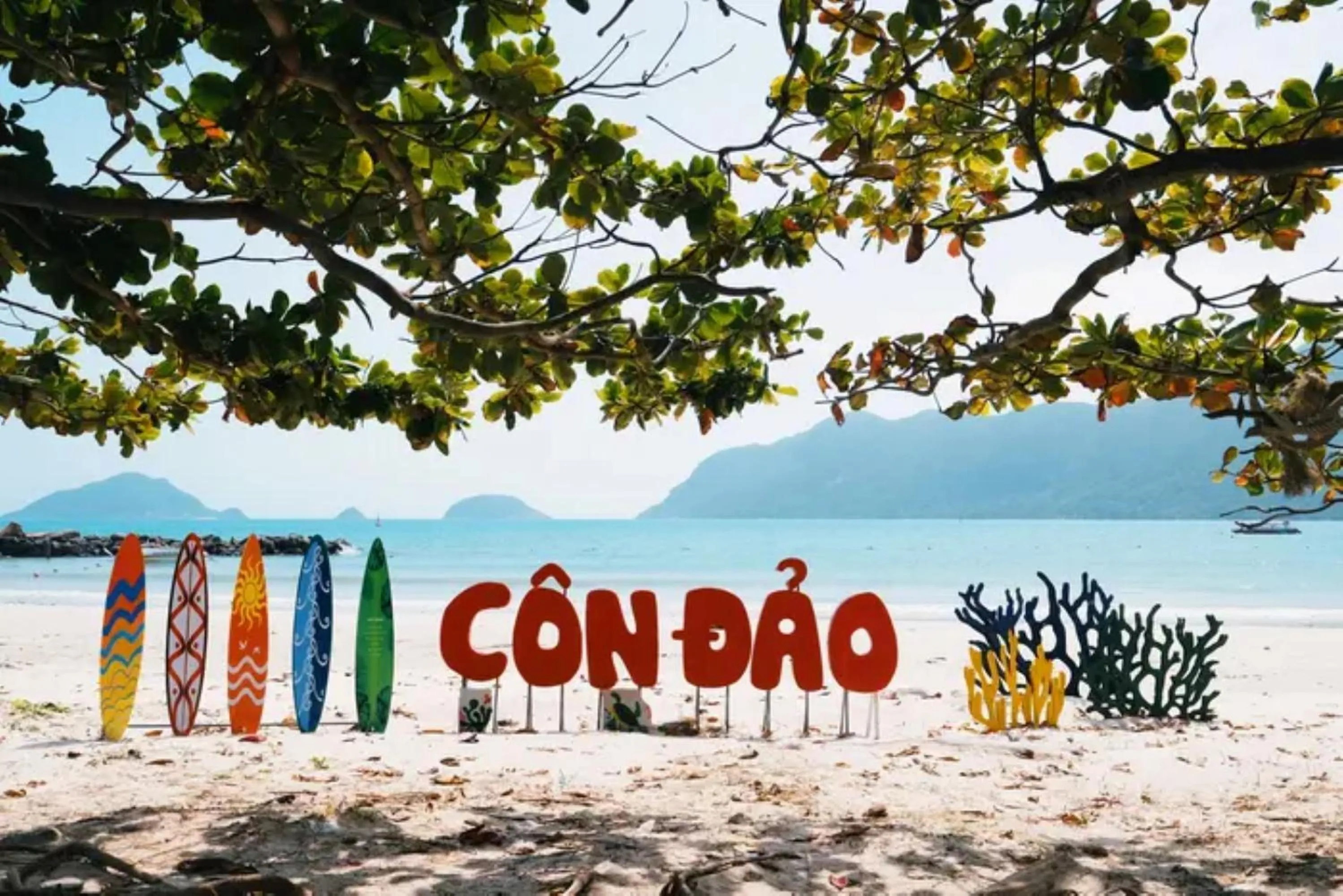 Nearby landmark in Golden Rose Hotel Con Dao