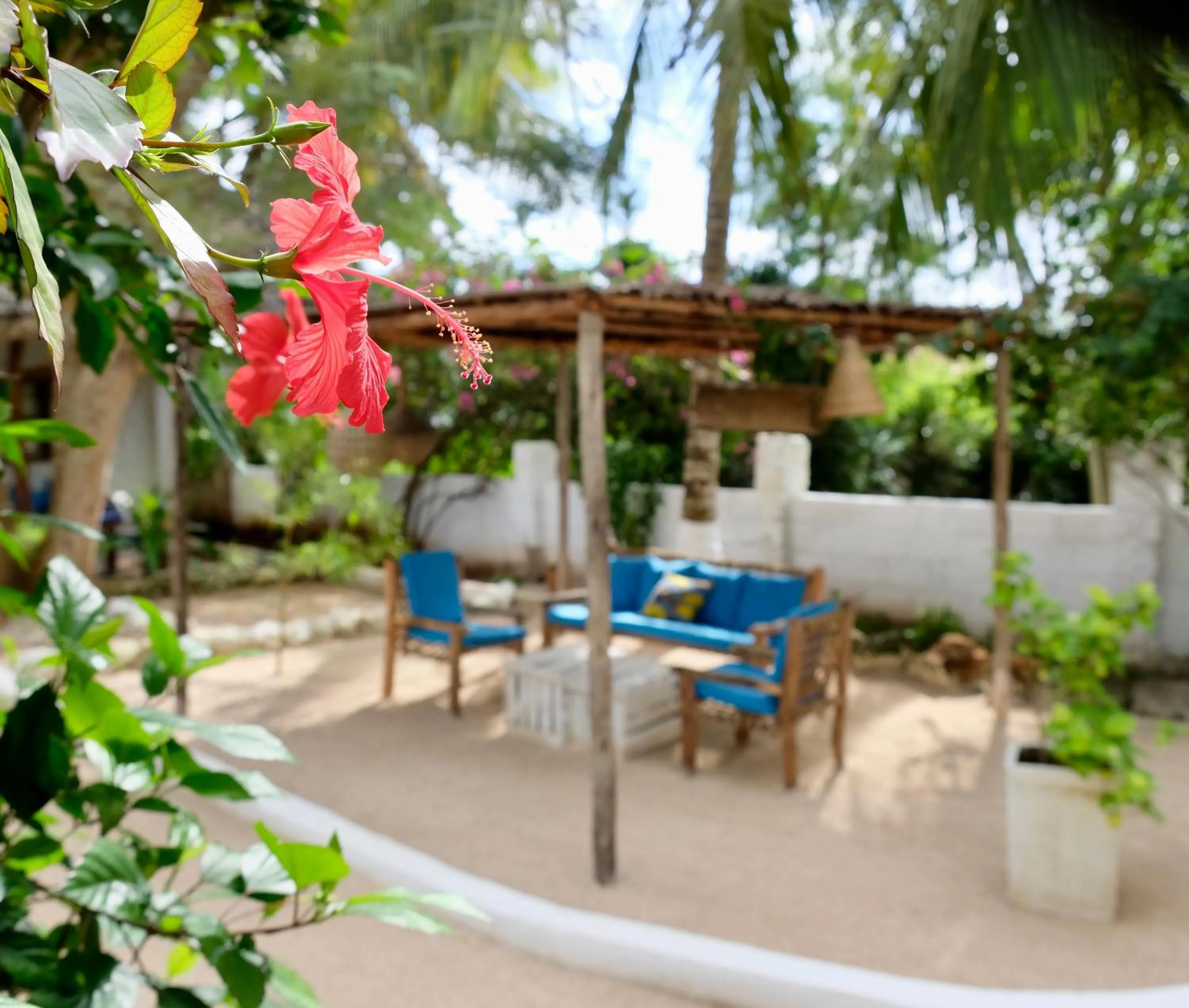 Garden in Bahati Villa