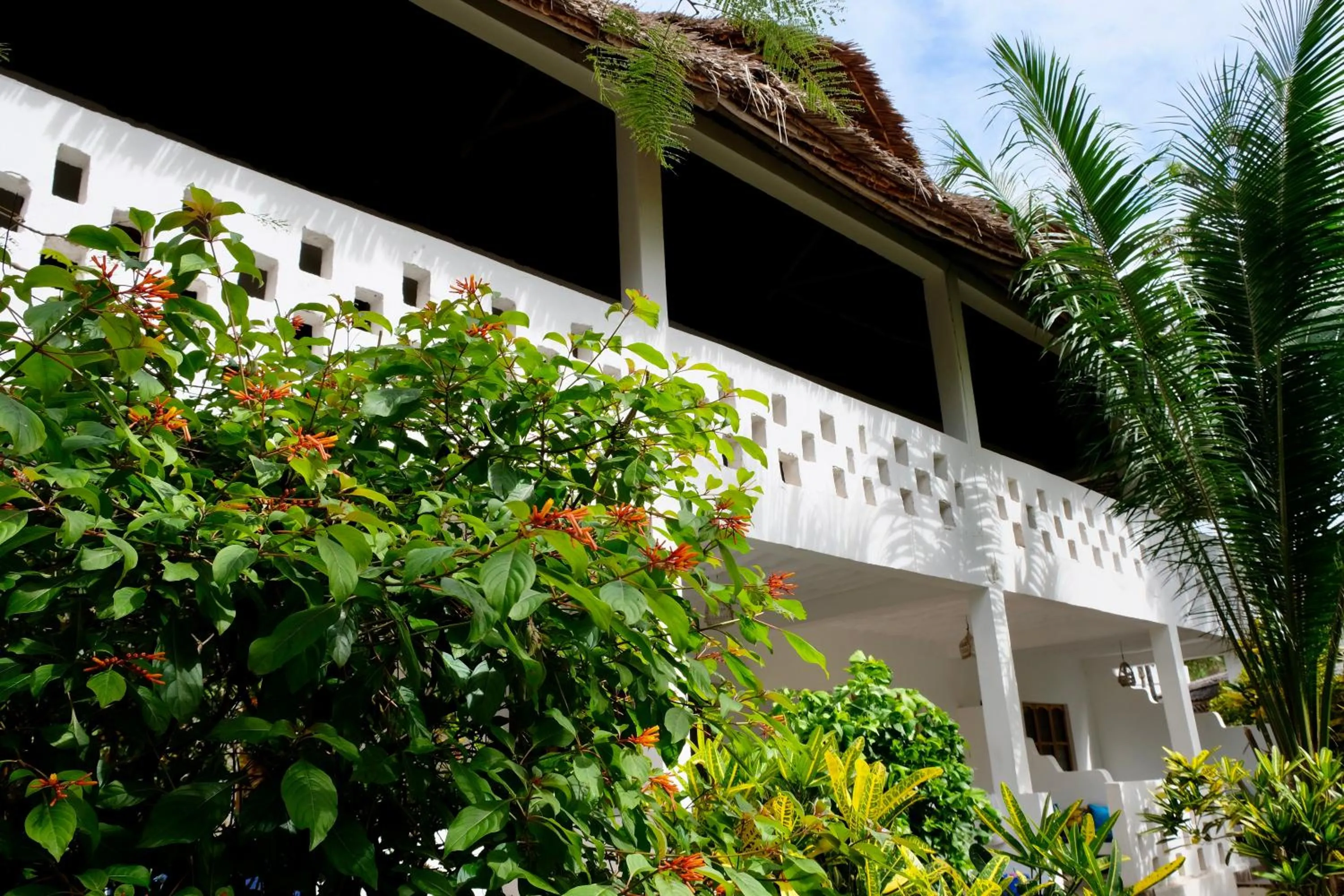 Property building in Bahati Villa