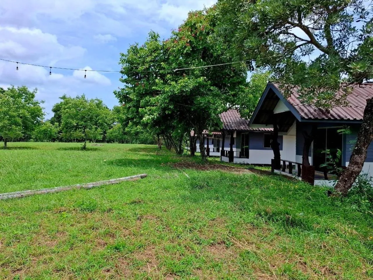 Natural landscape in Khao Yai Lake Hill Resort