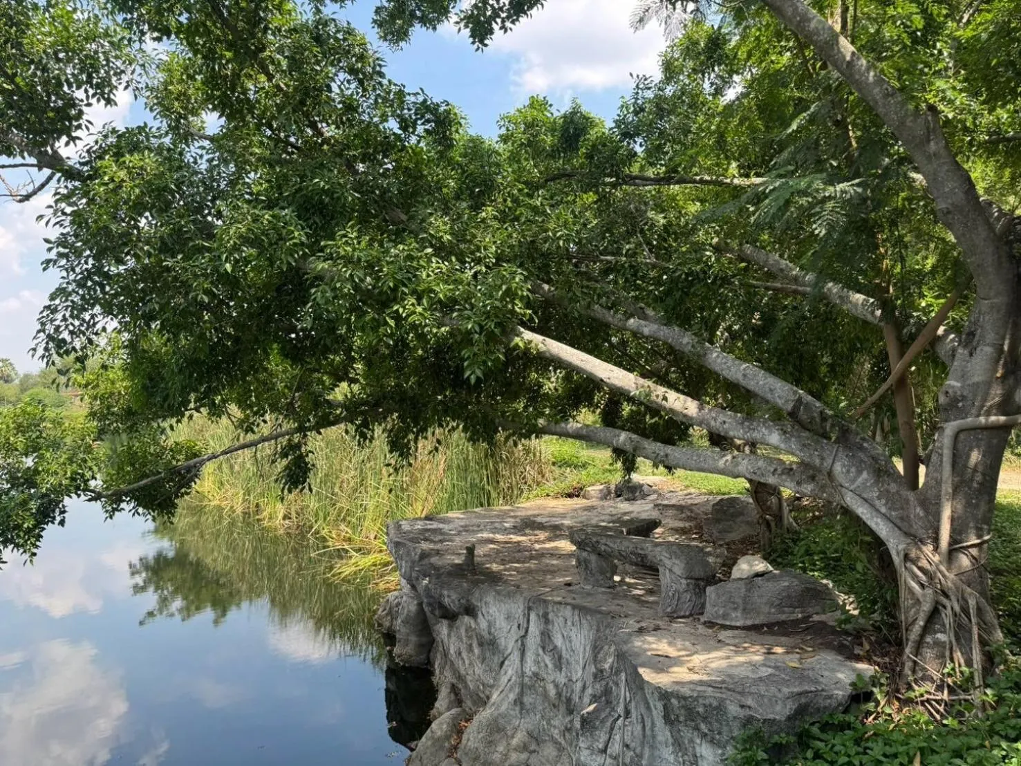 Garden view in Khao Yai Lake Hill Resort