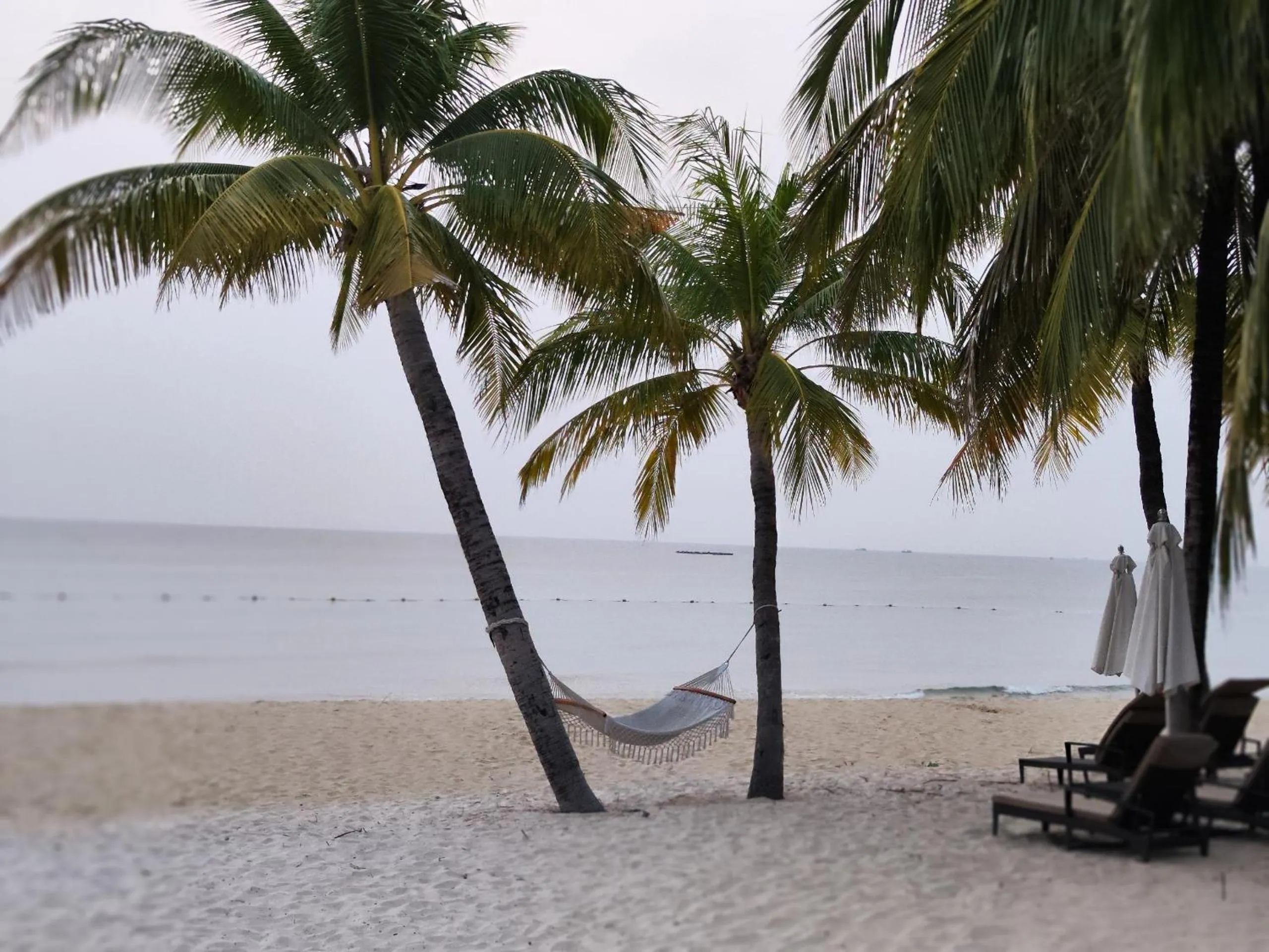 Natural landscape in Stella Marina Boutique Hotel
