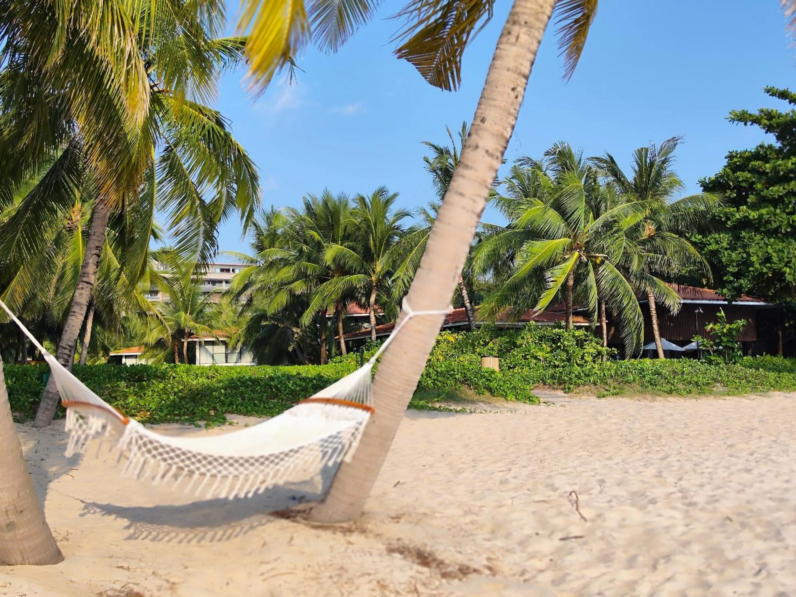 Natural landscape in Stella Marina Boutique Hotel