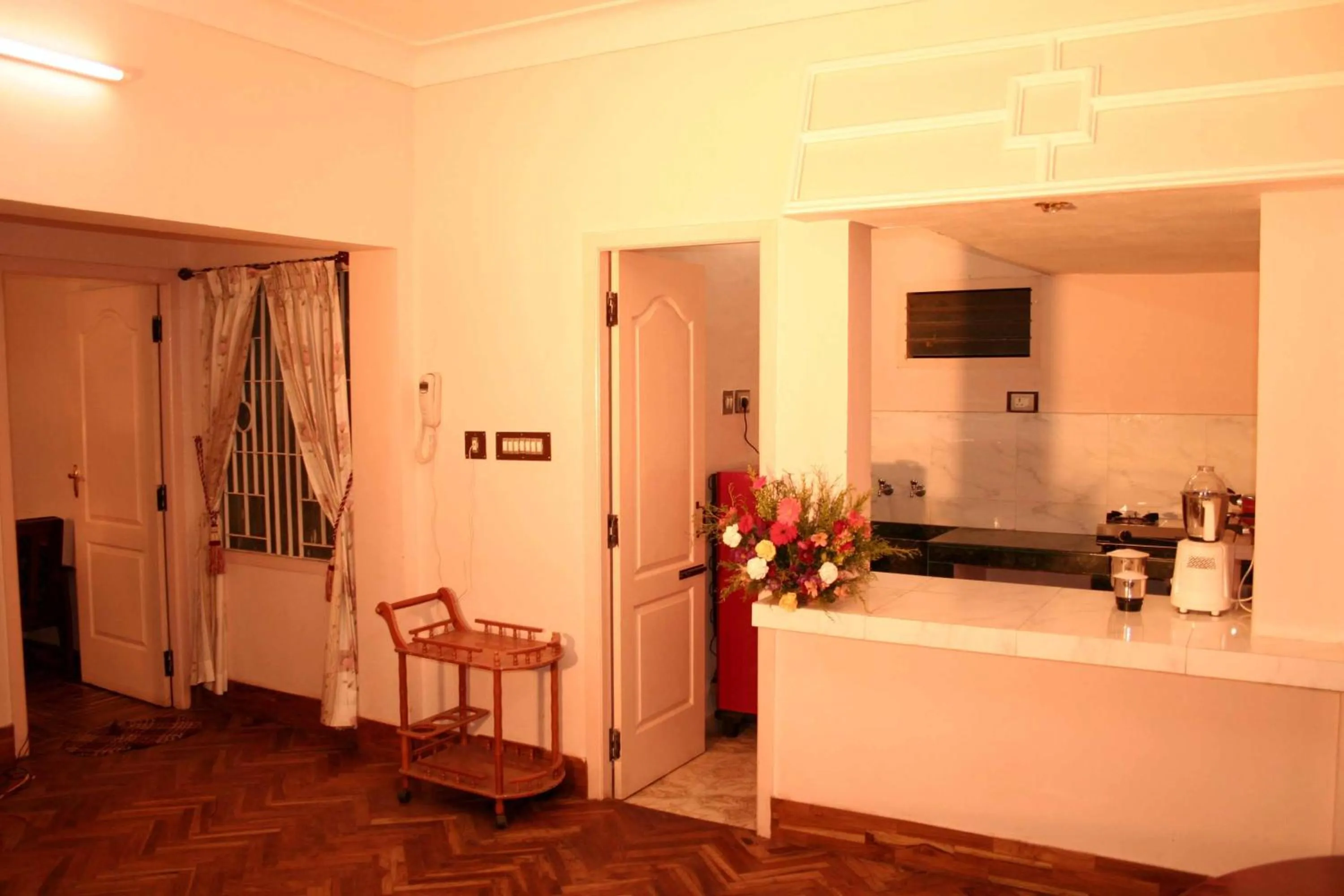 Kitchen or kitchenette in Hotel Mount View