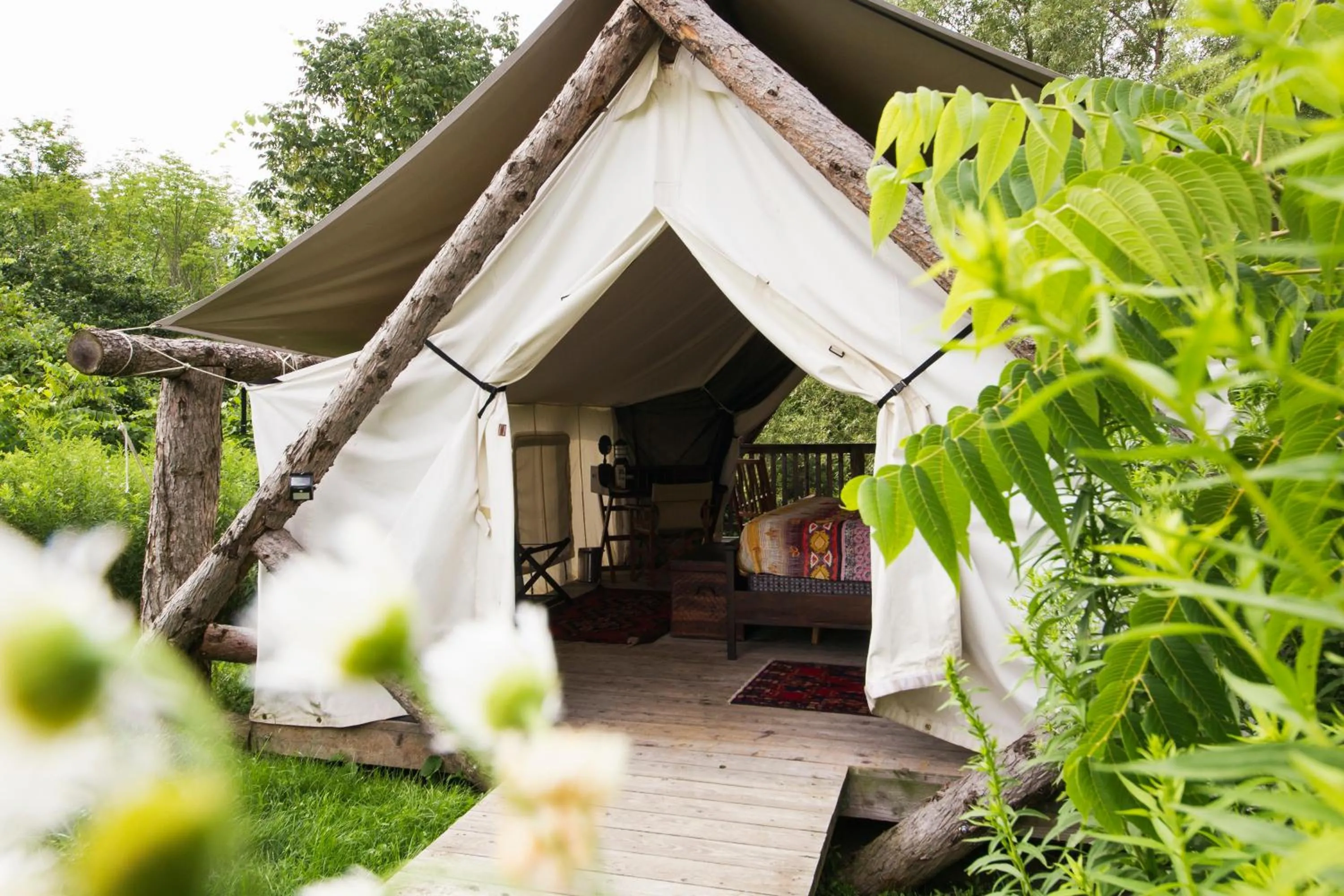 Firelight Camps