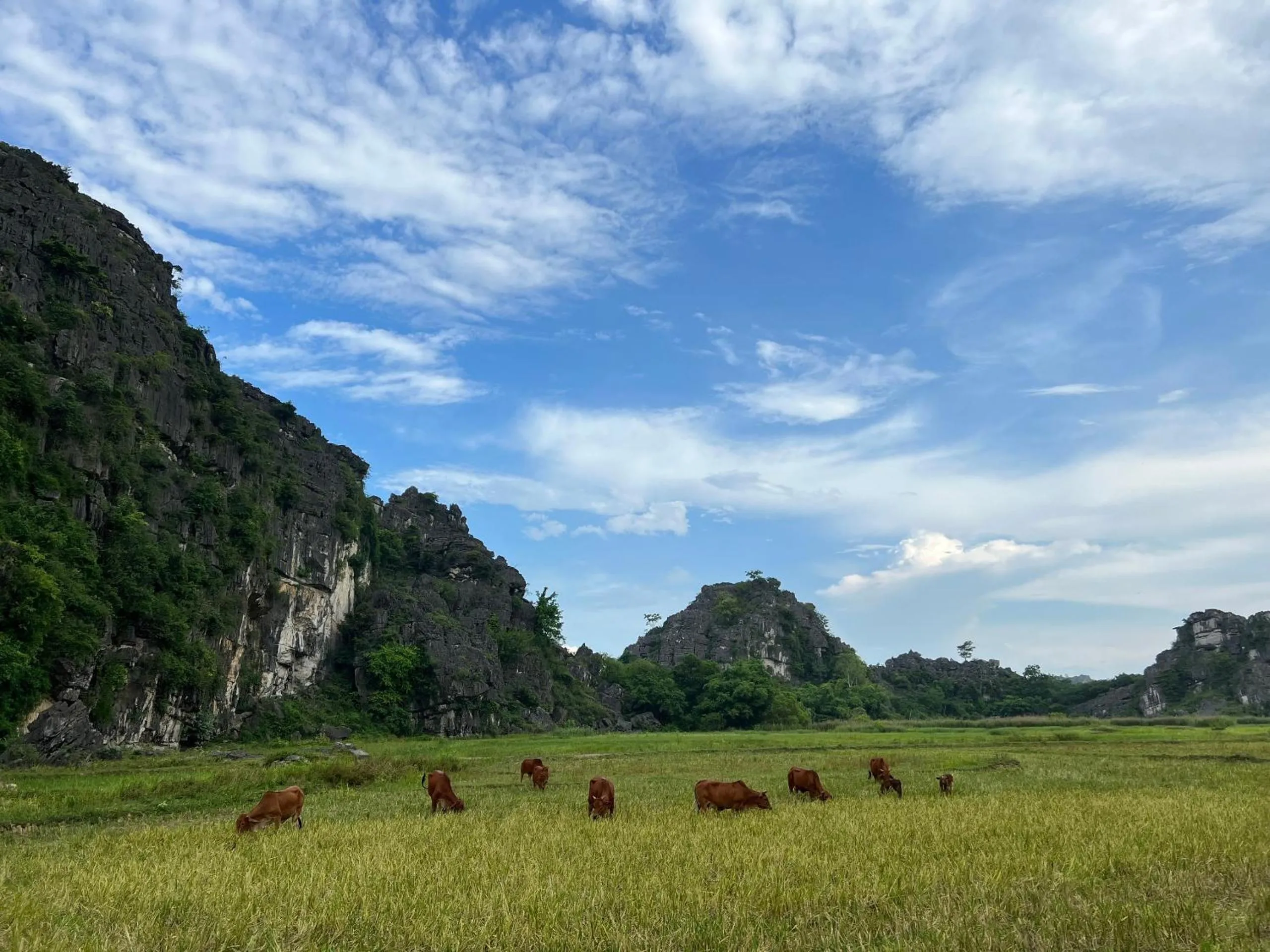 Nearby landmark in Ninh Binh Family Homestay