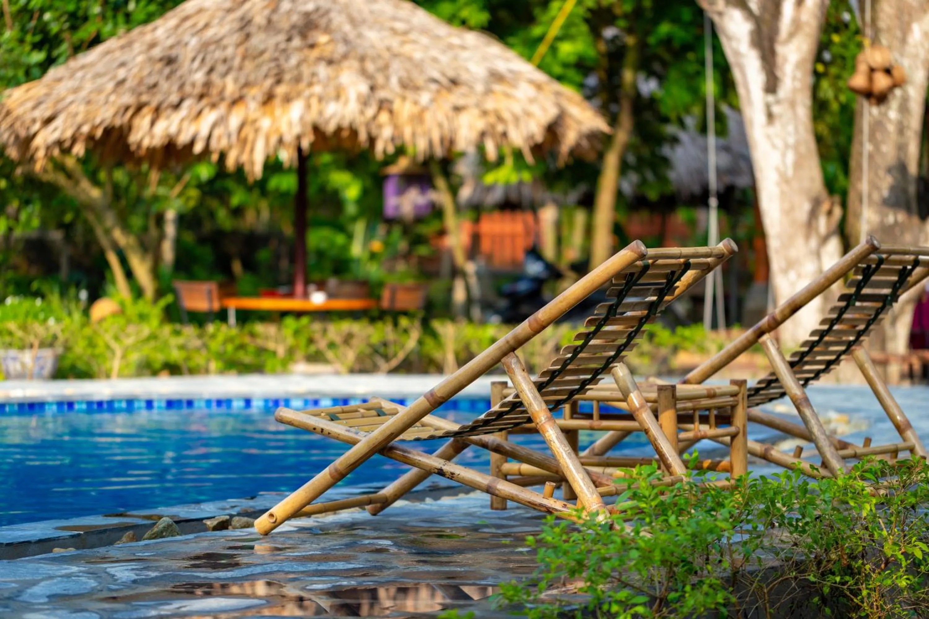 Pool view in Ninh Binh Family Homestay