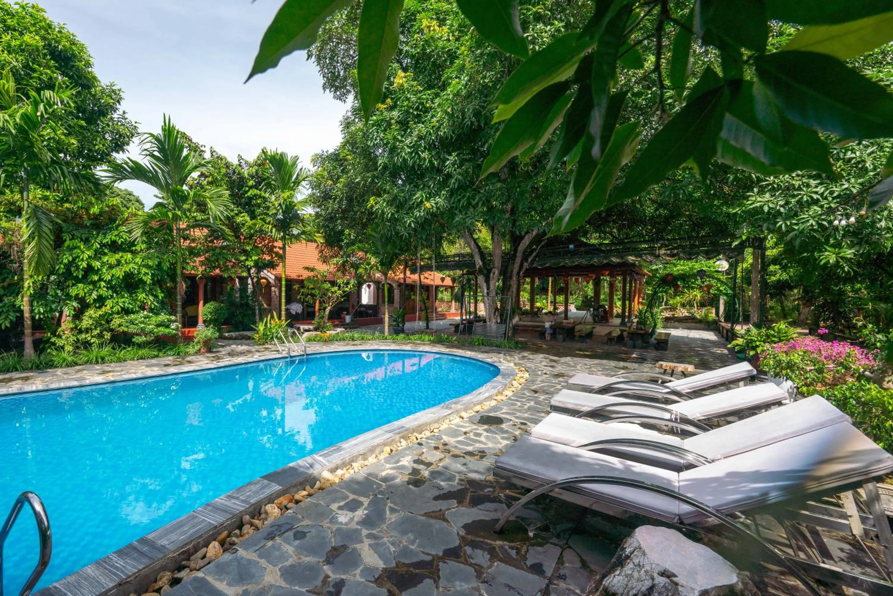 Swimming pool in Ninh Binh Family Homestay