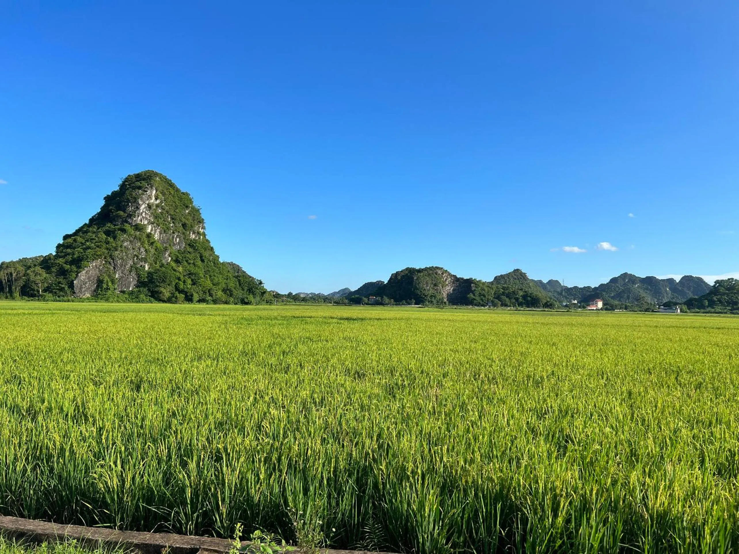 Nearby landmark in Ninh Binh Family Homestay