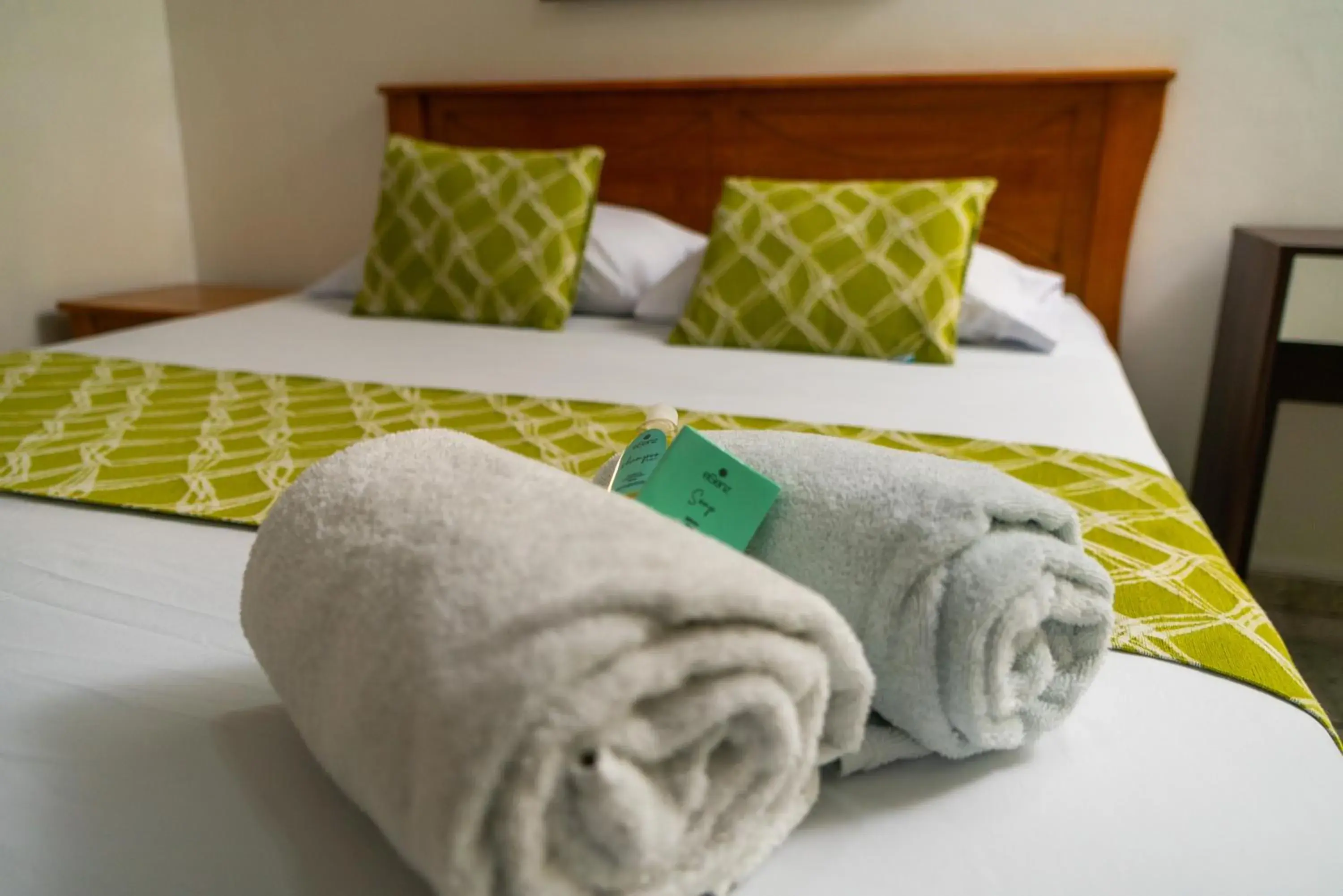 Standard Room in Suites & Apartments San Benito - Zona Rosa Standard Room in Suites & Apartments San Benito - Zona Rosa