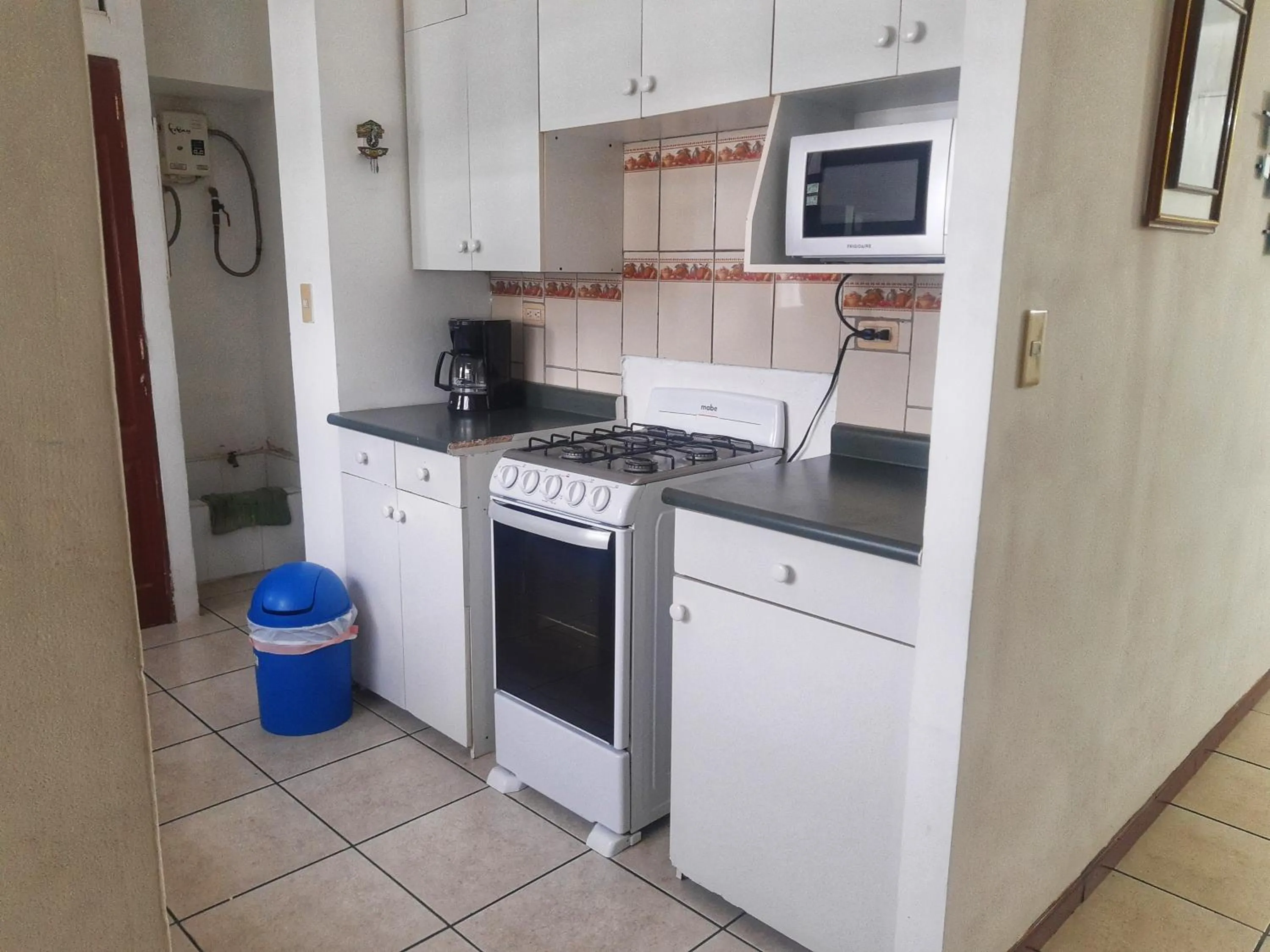 Kitchen or kitchenette in Suites & Apartments San Benito - Zona Rosa