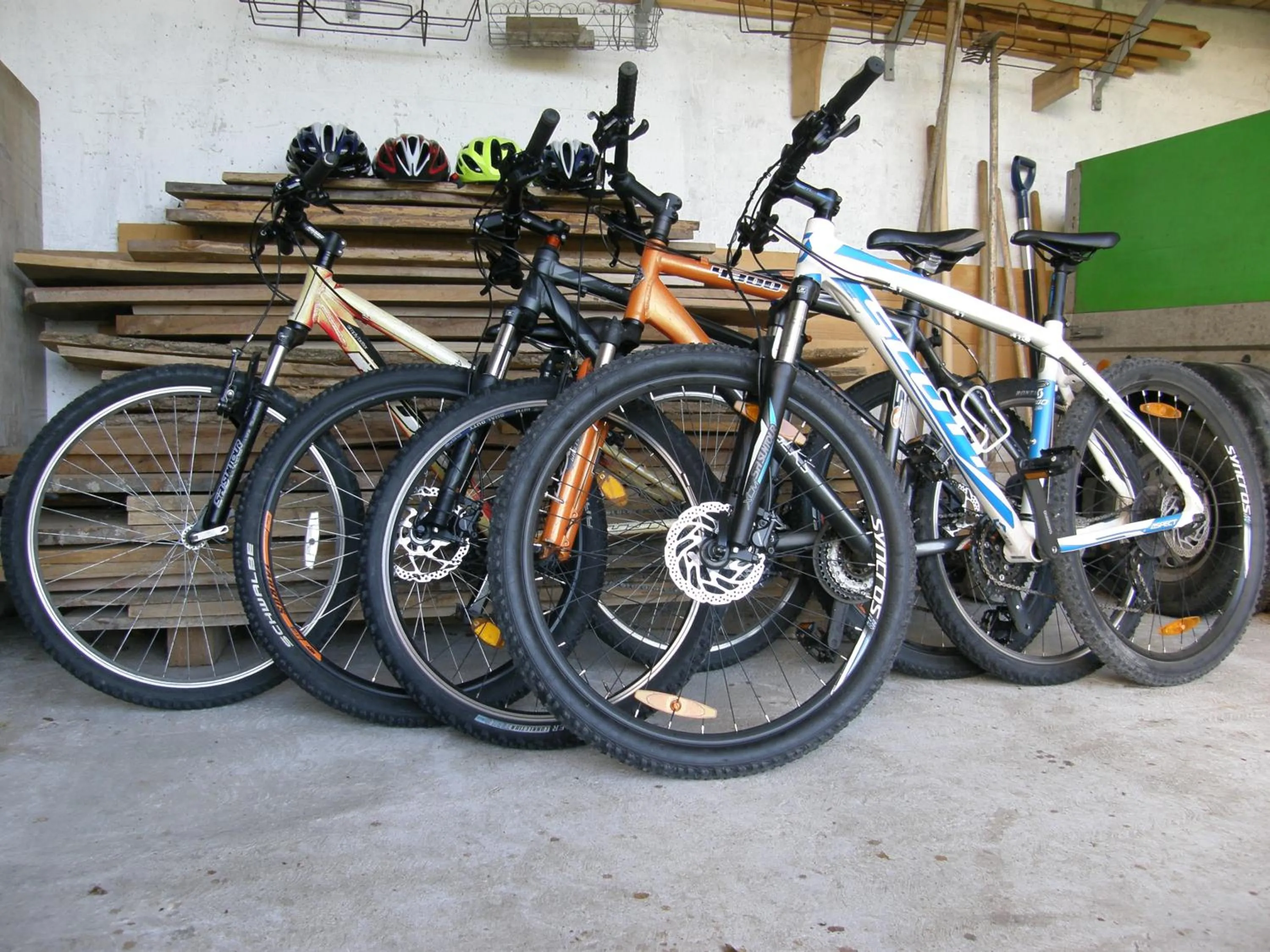 Cycling in Apartment Šavli