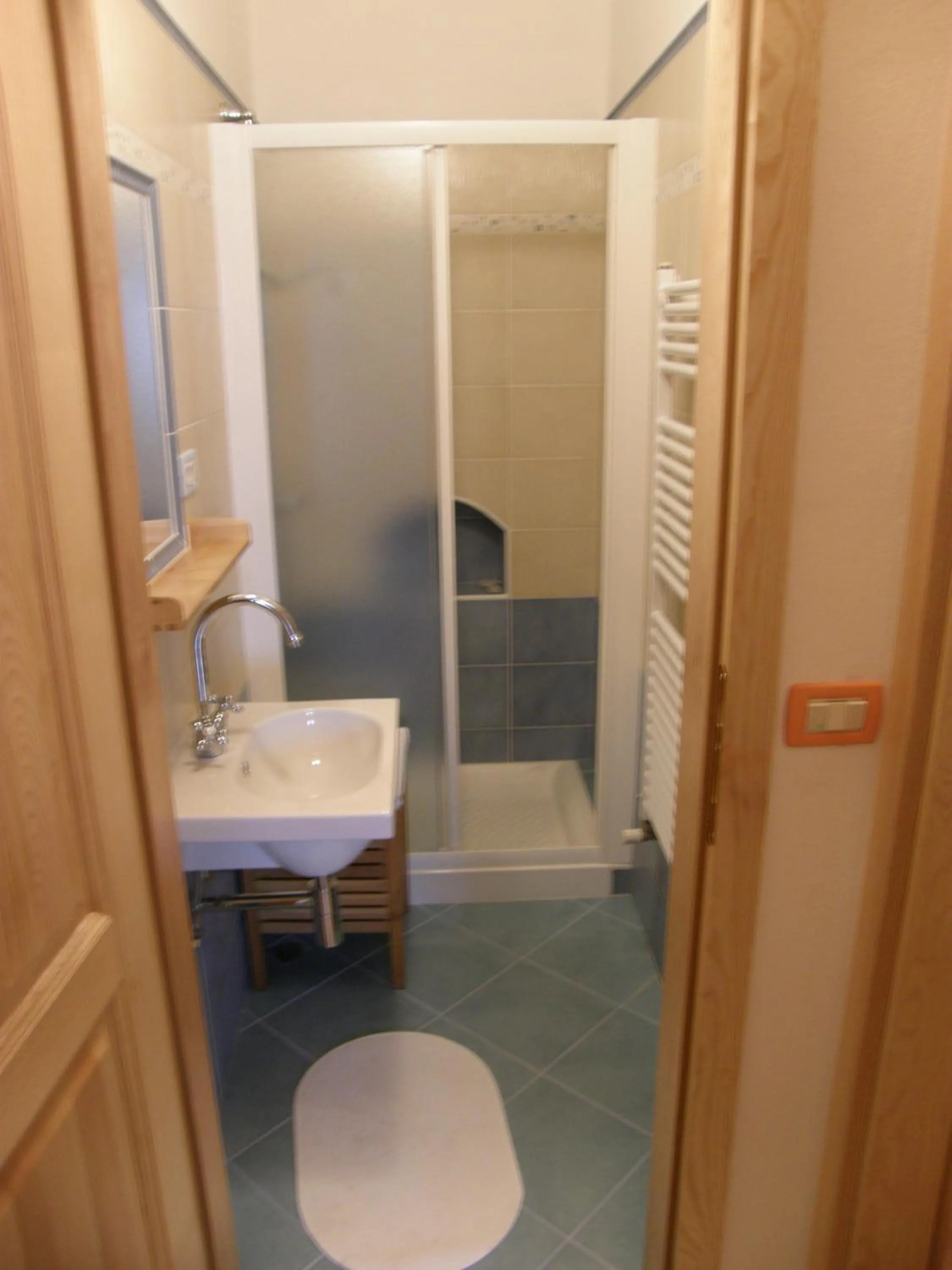 Shower in Apartment Šavli