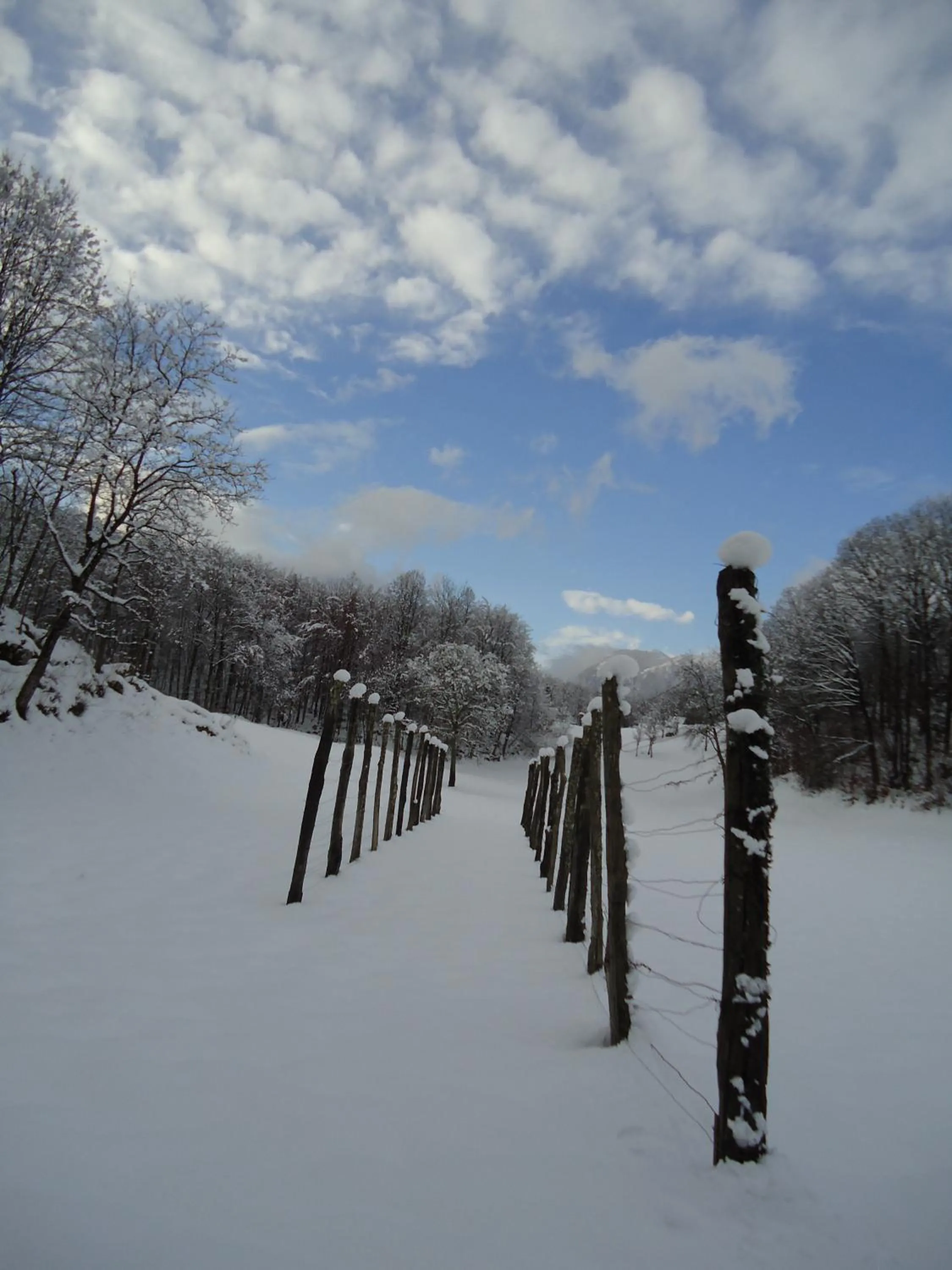 Natural landscape in Apartment Šavli