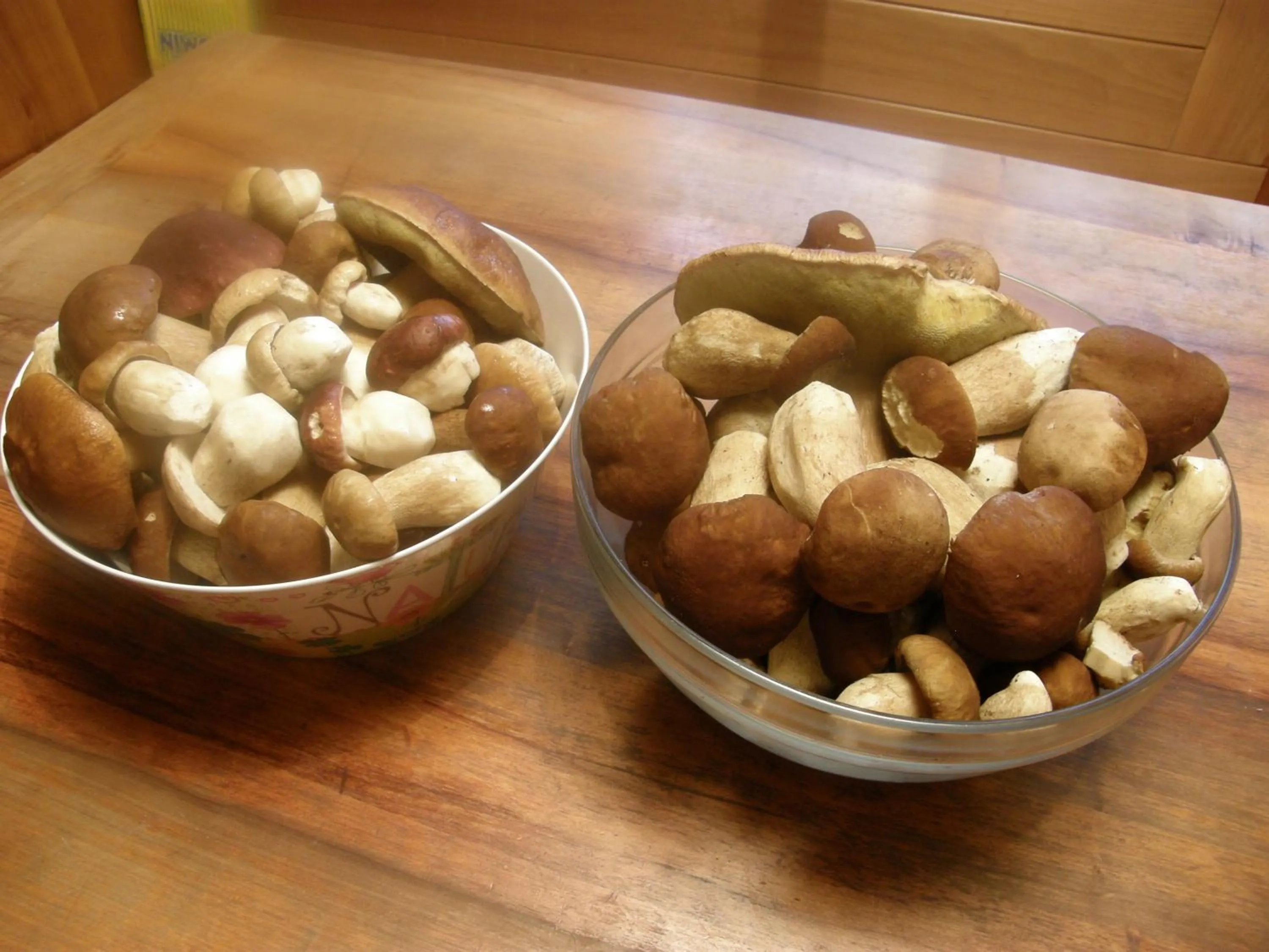 Meals in Apartment Šavli