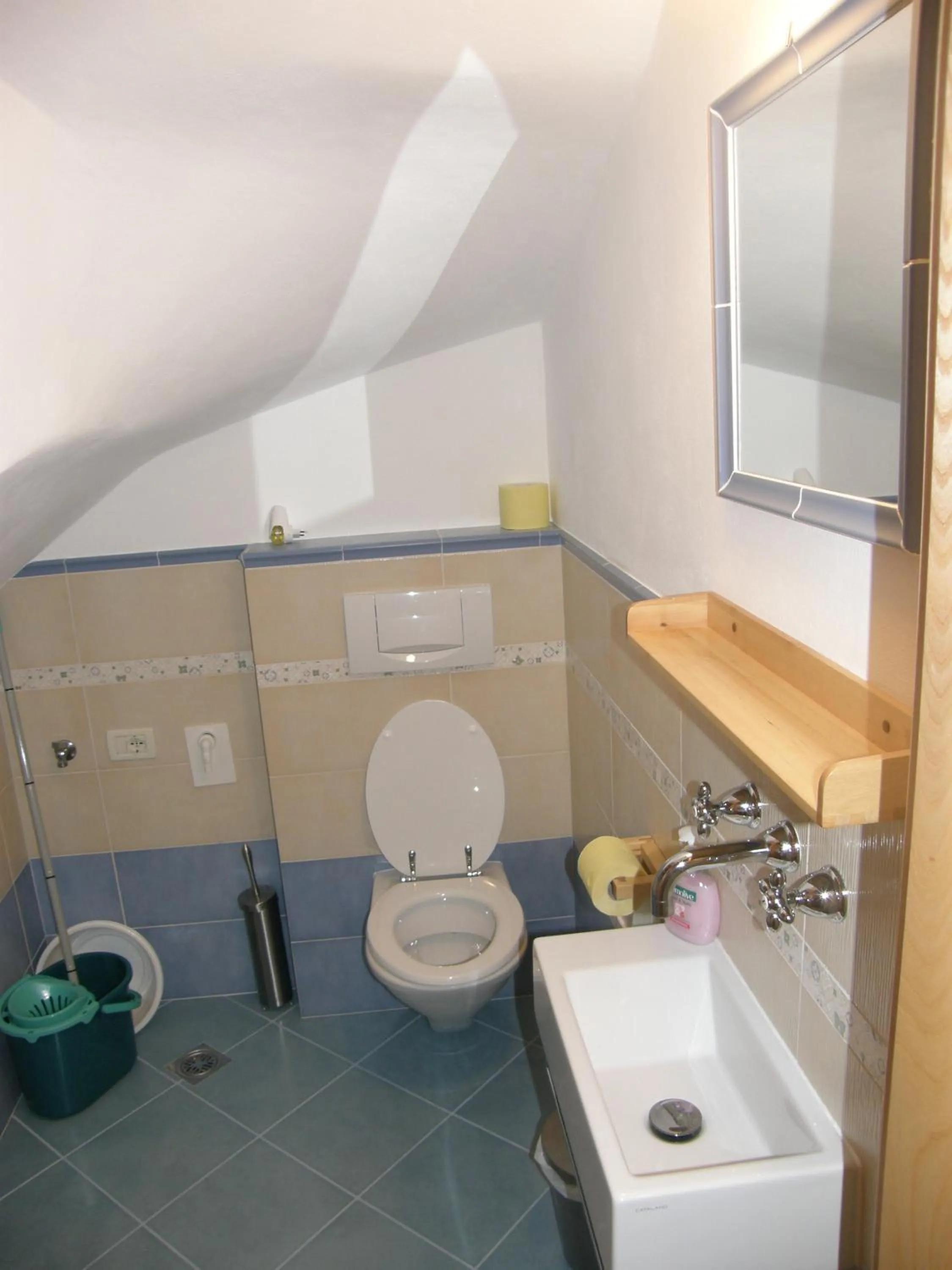 Toilet in Apartment Šavli