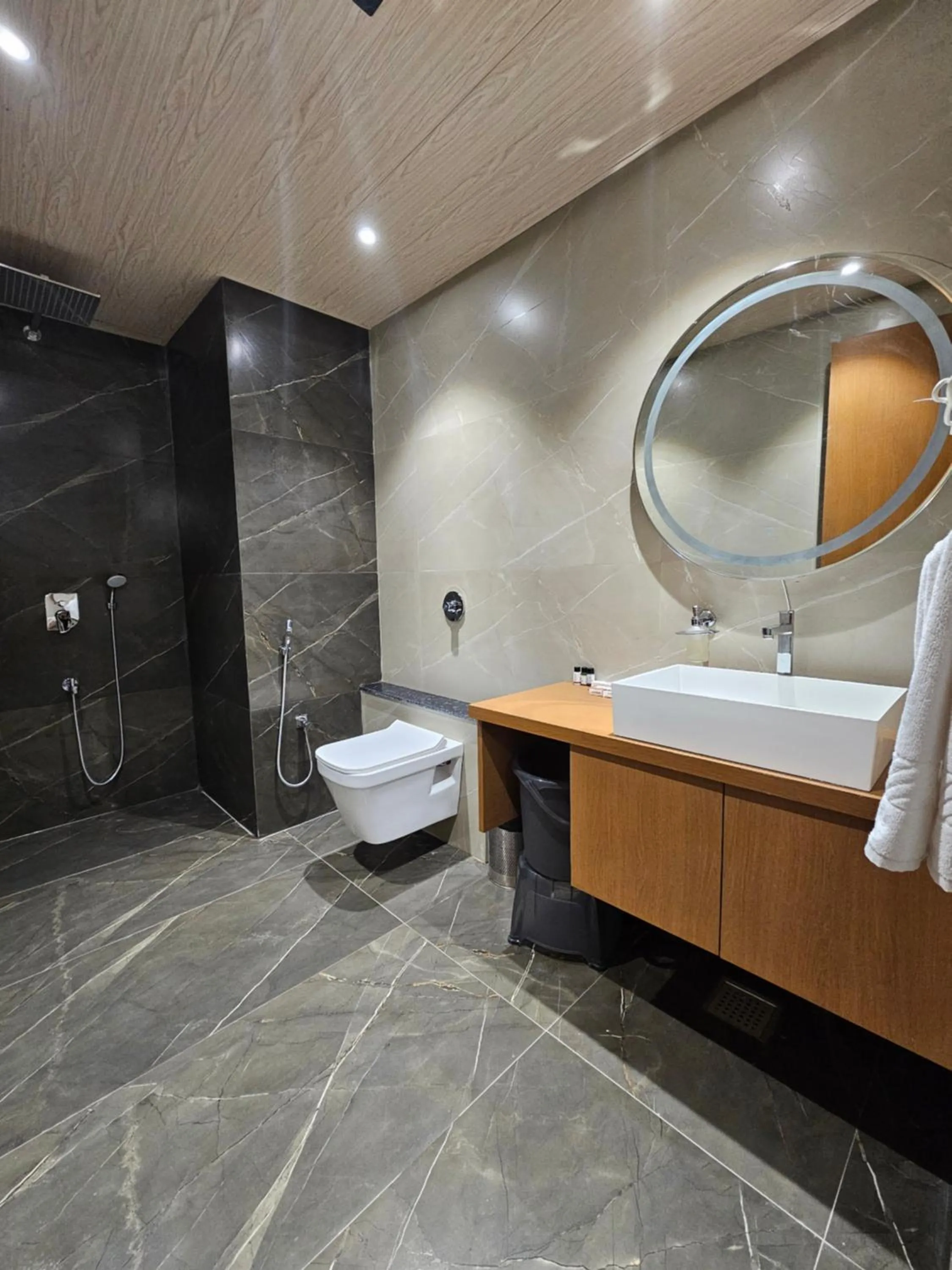 Shower in The S Crown Somnath