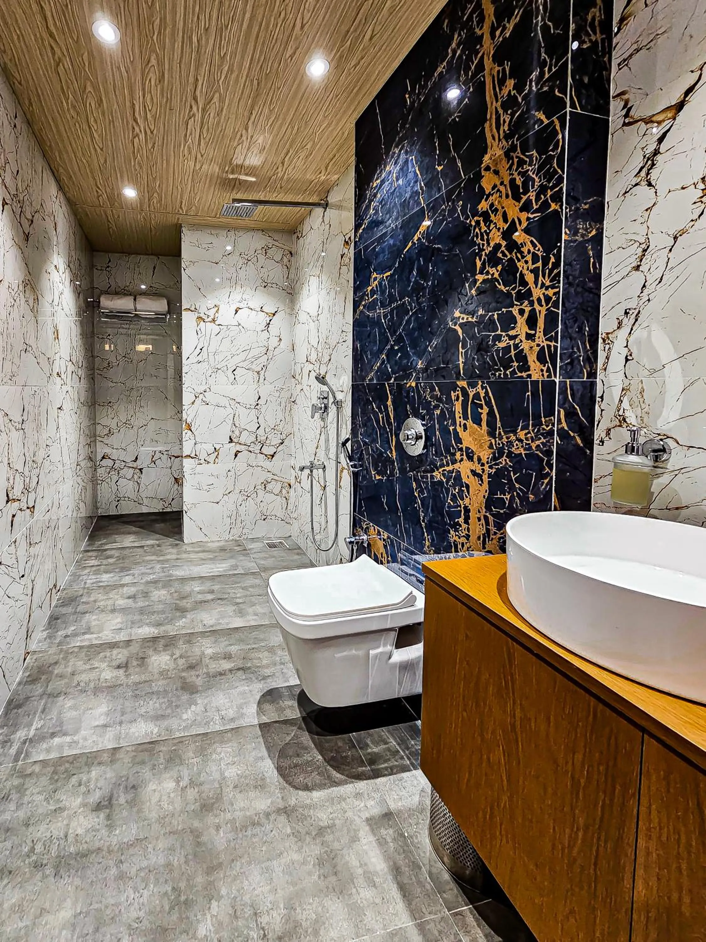 Shower in The S Crown Somnath