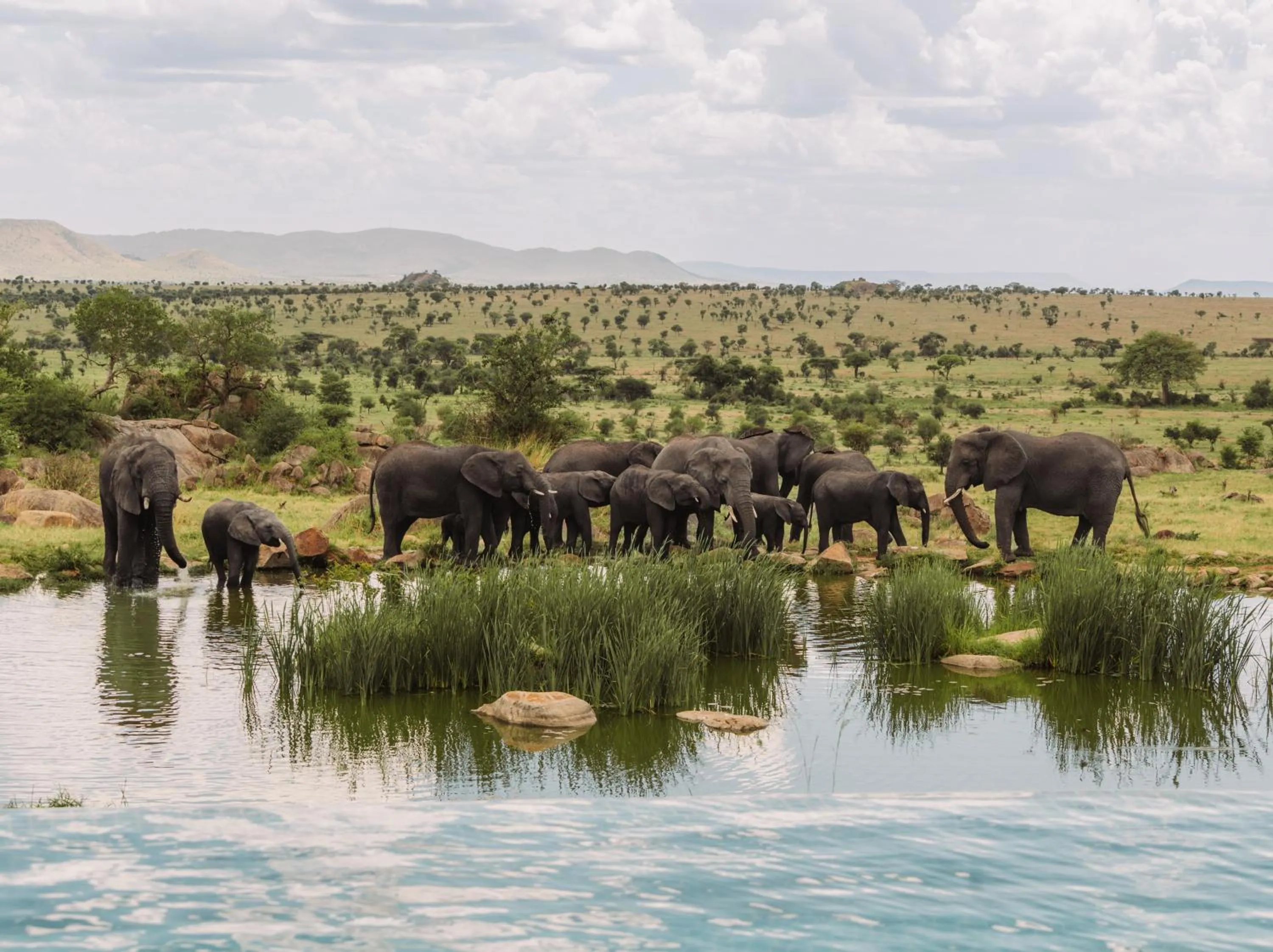 Natural landscape in Four Seasons Safari Lodge Serengeti