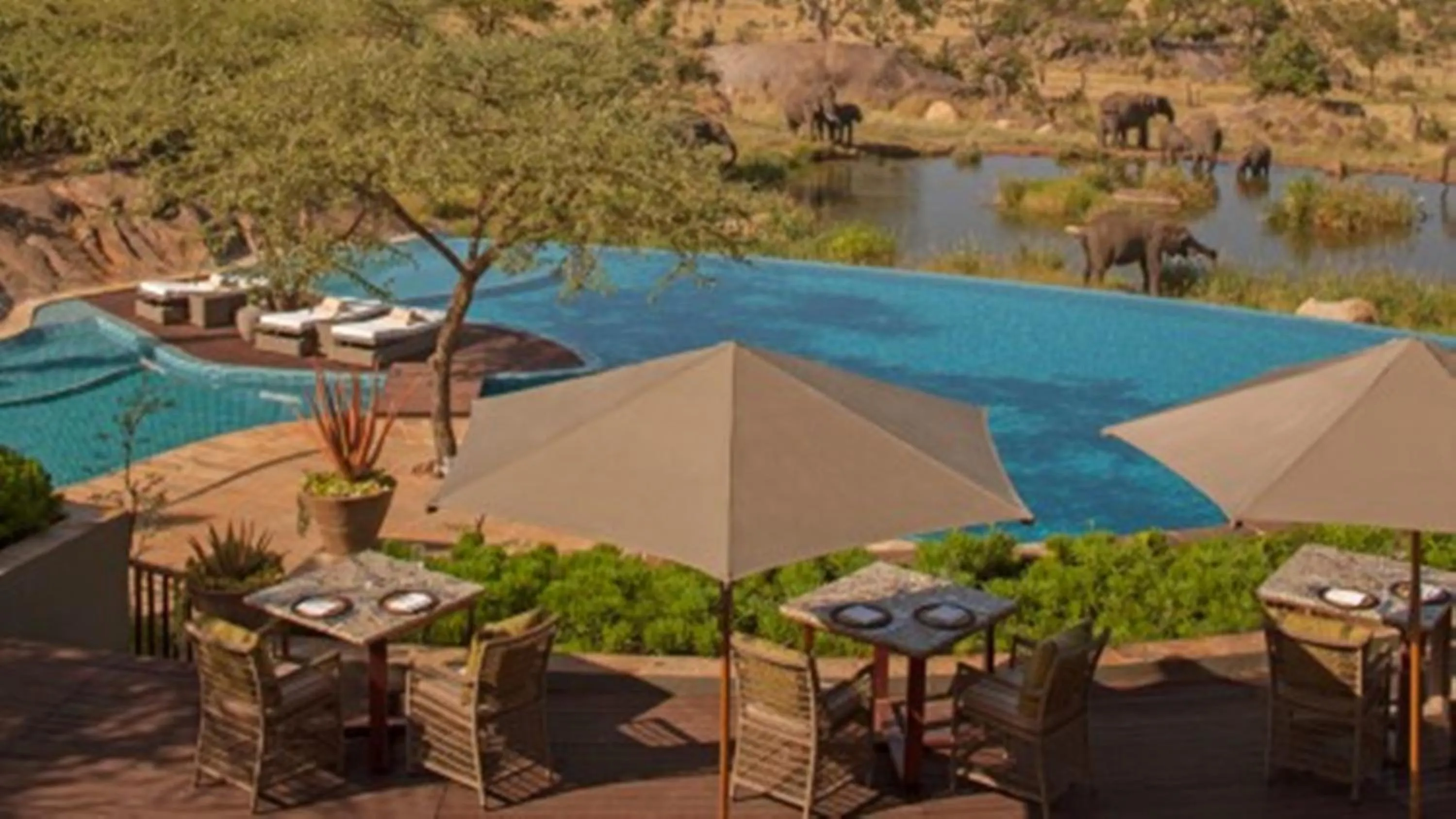 Swimming pool in Four Seasons Safari Lodge Serengeti