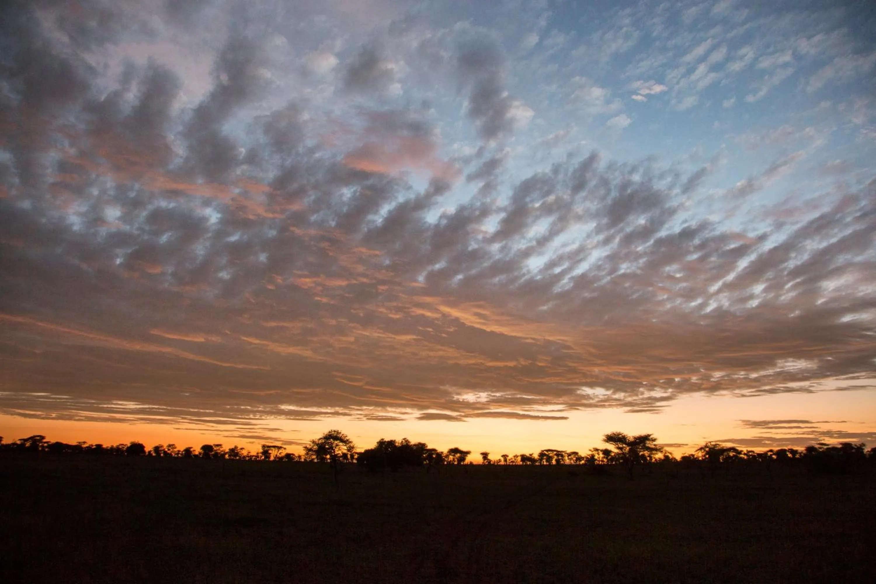 View (from property/room) in Four Seasons Safari Lodge Serengeti