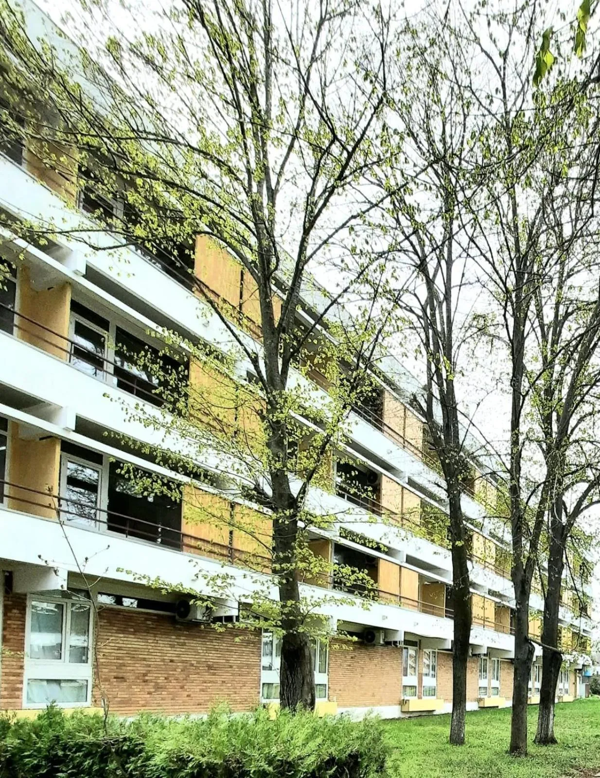 Facade/entrance in Hotel Tomis Neptun