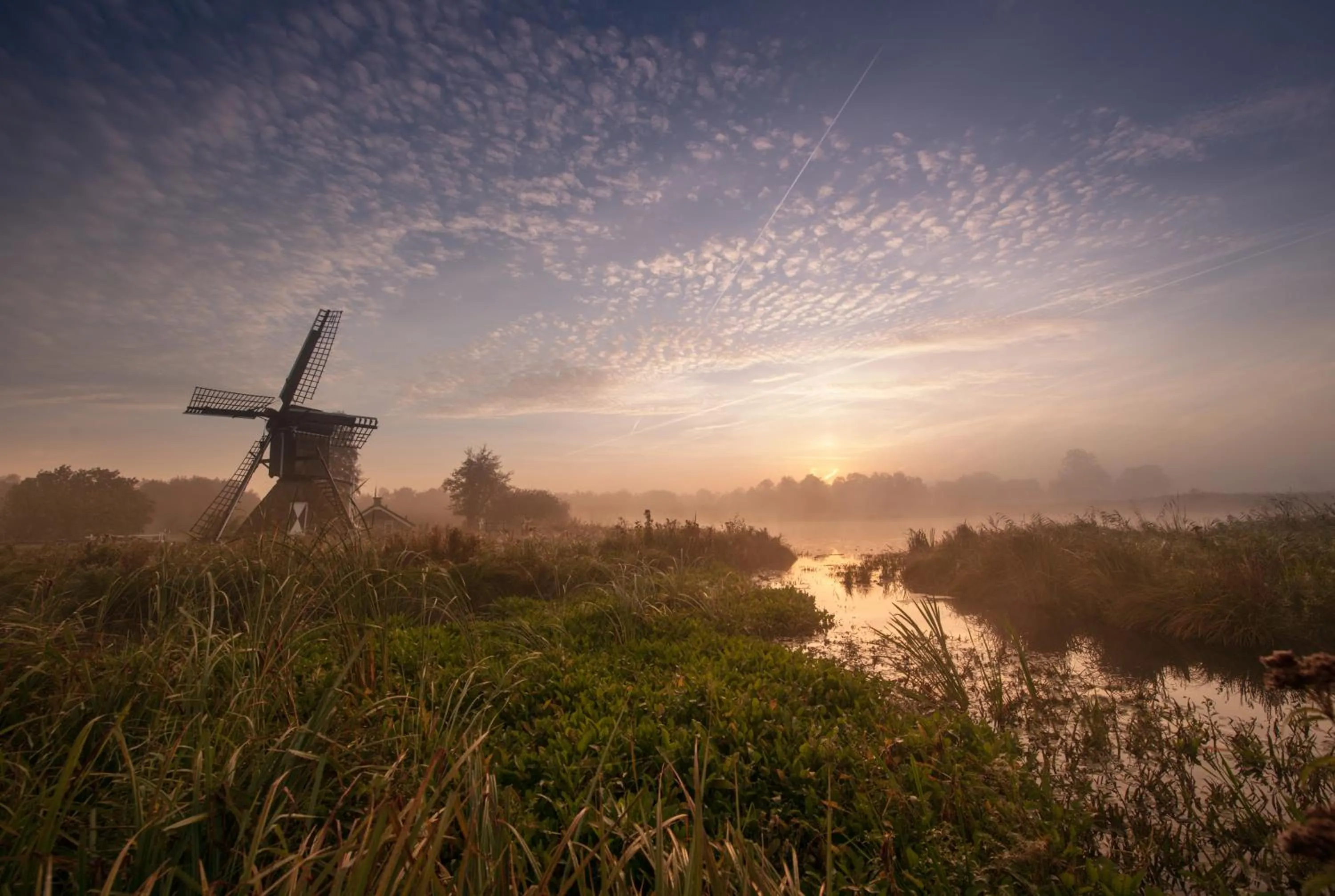 Natural landscape in Hotel de Pergola