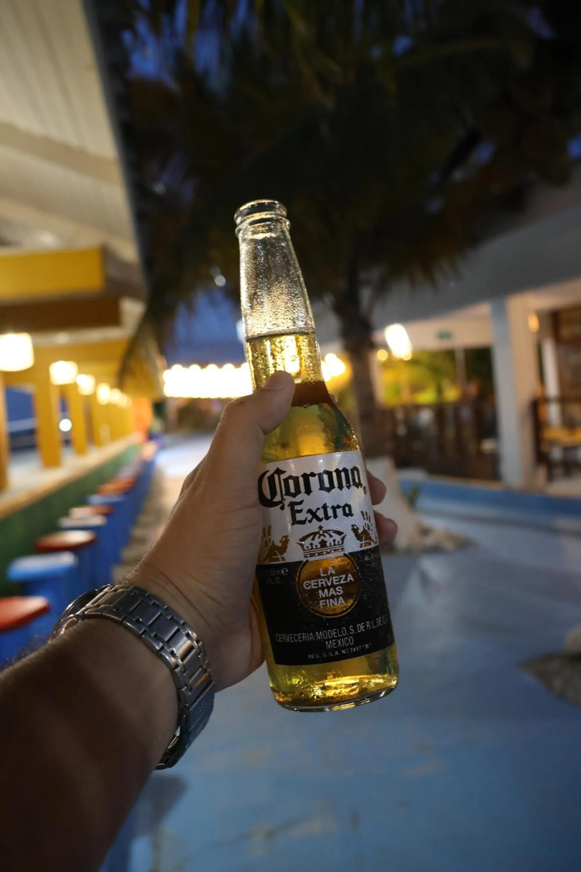 Alcoholic drinks in Hotel Partenon Beach