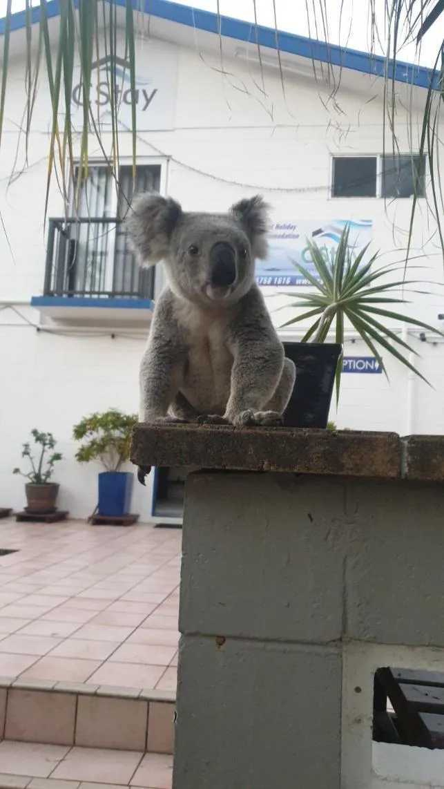 Property building in CStay