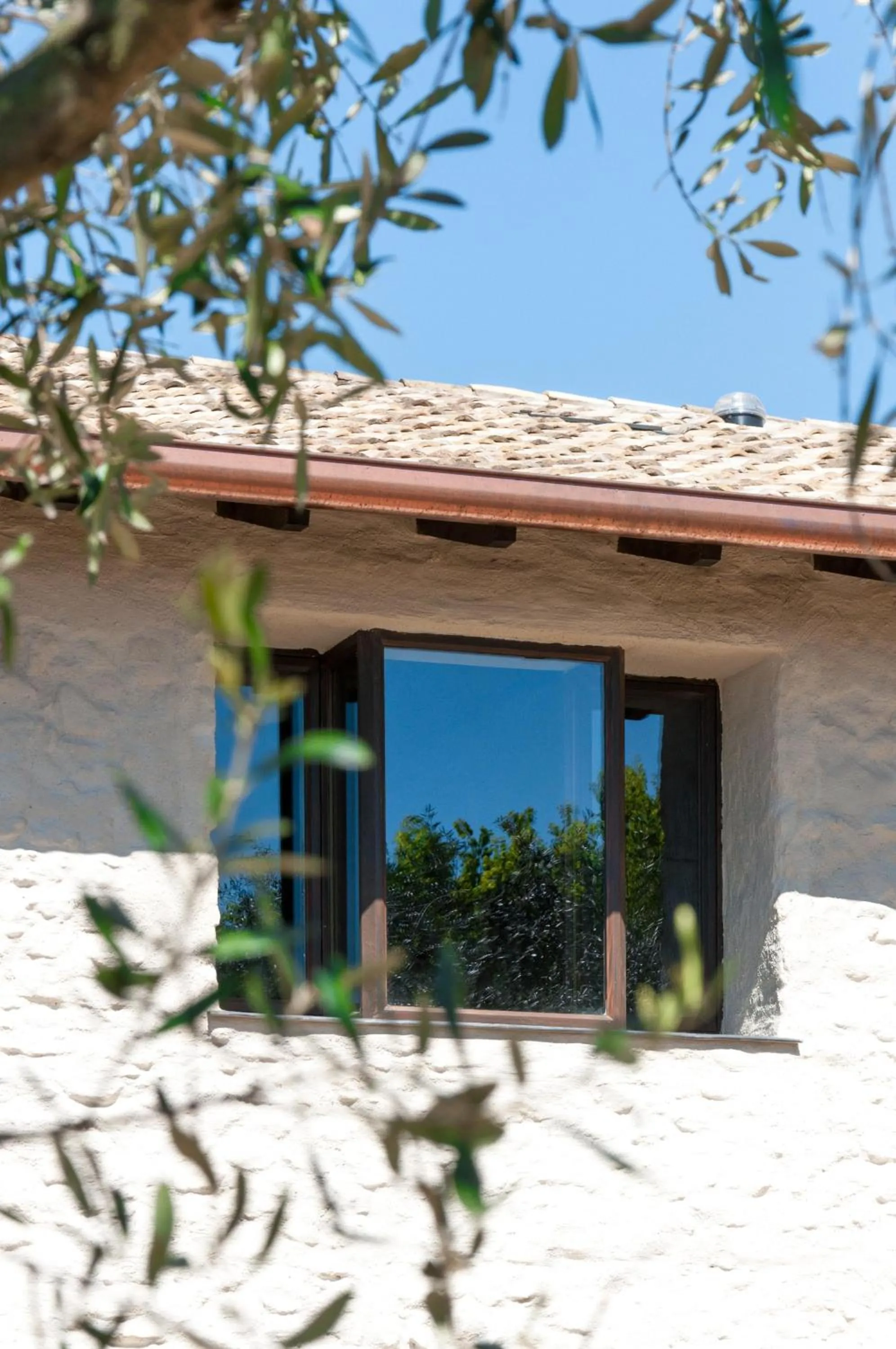 Facade/entrance in Prati Palai