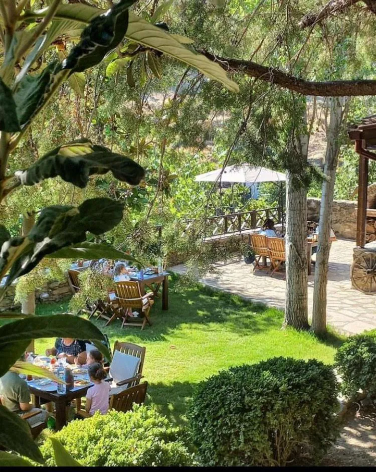 Restaurant/places to eat in Adissa Butik Otel
