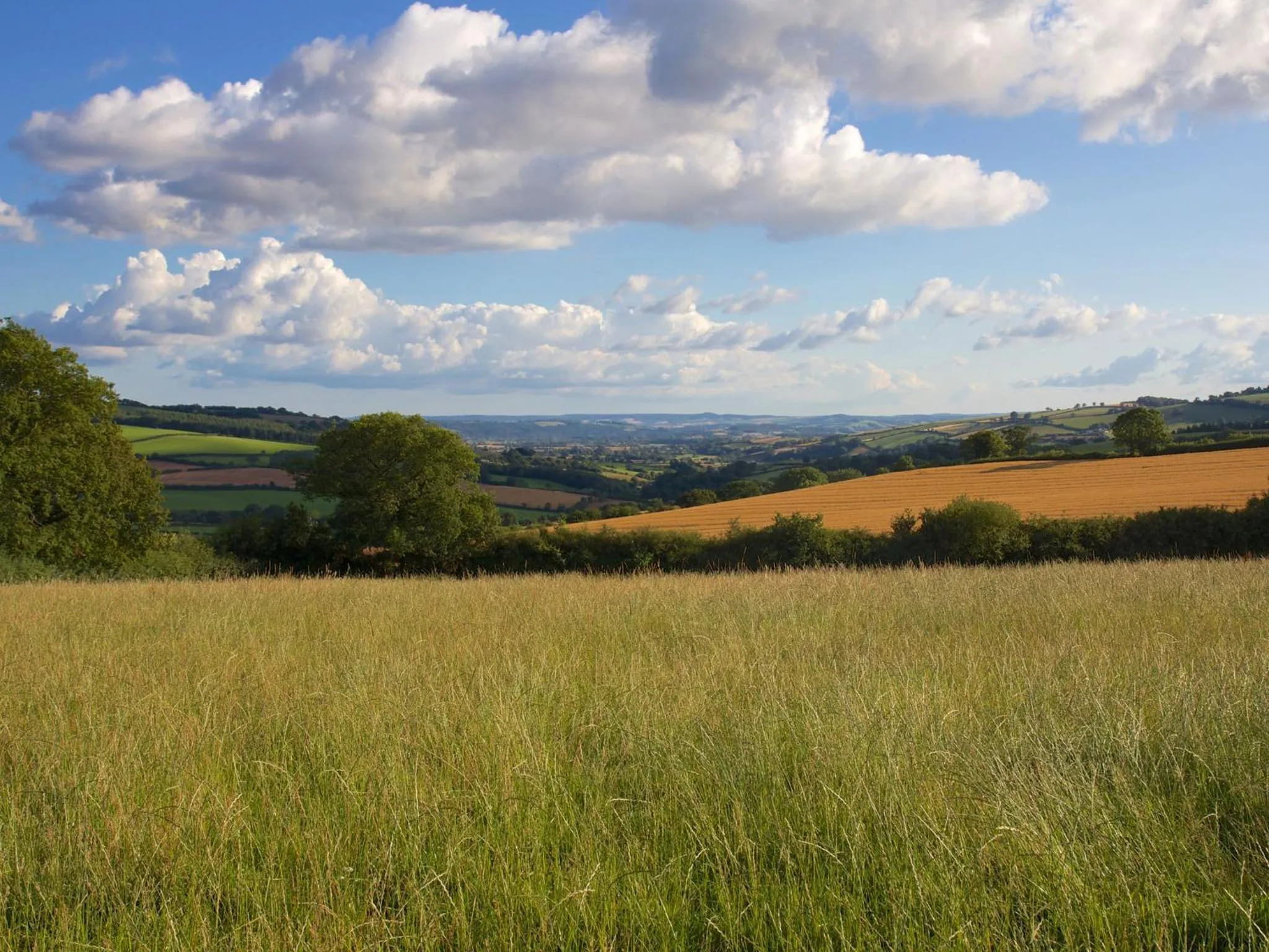 Natural landscape in Henbere Farm B&B