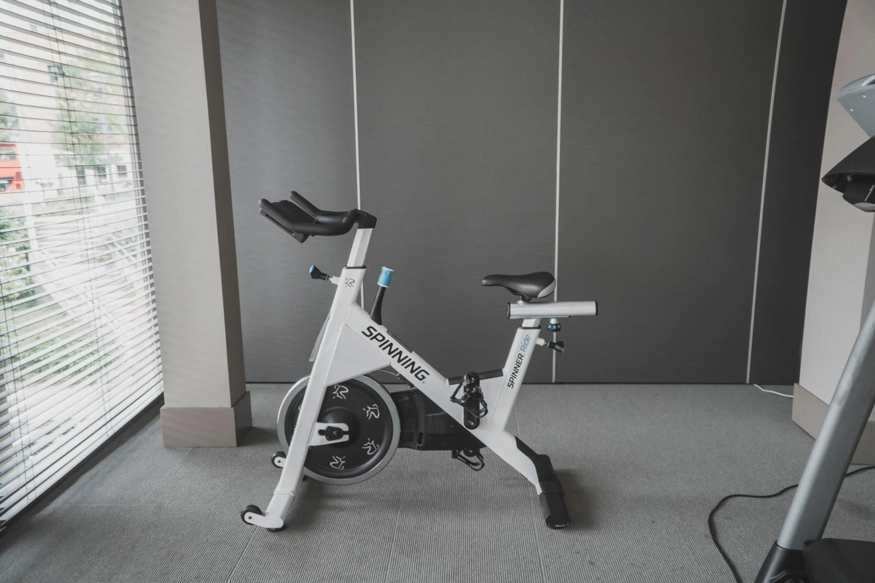 Fitness centre/facilities in Zenit San Sebastián