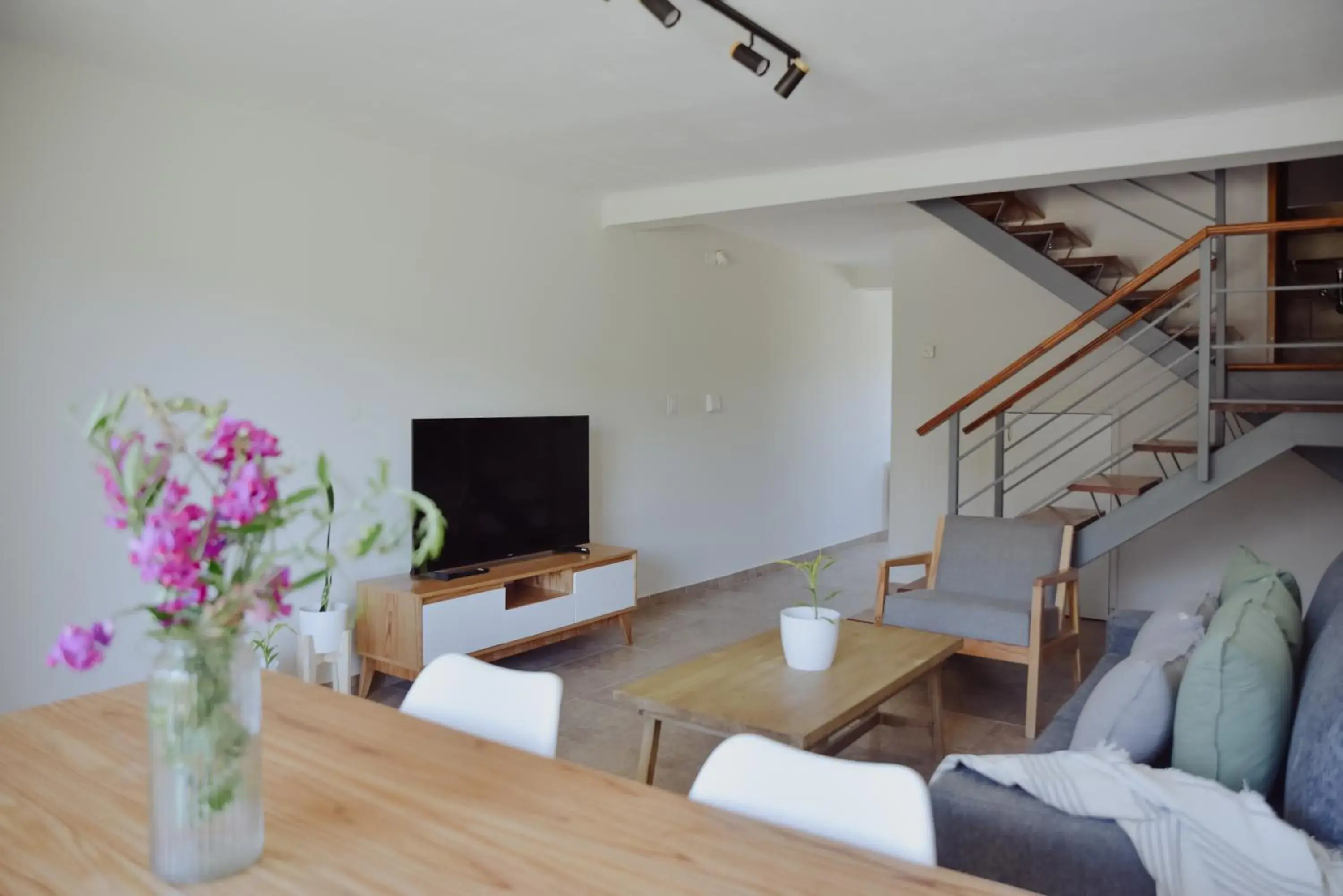 Draig House Draig House