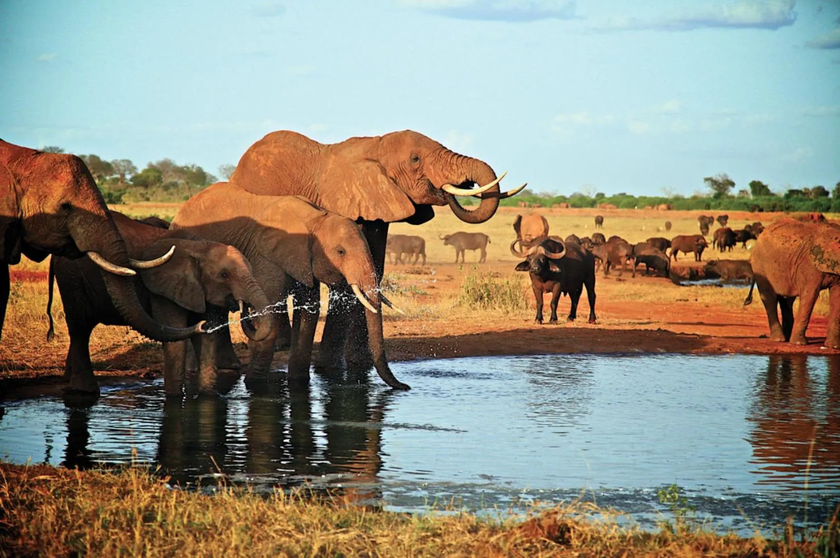 View (from property/room), Horseback Riding in Voi Wildlife Lodge