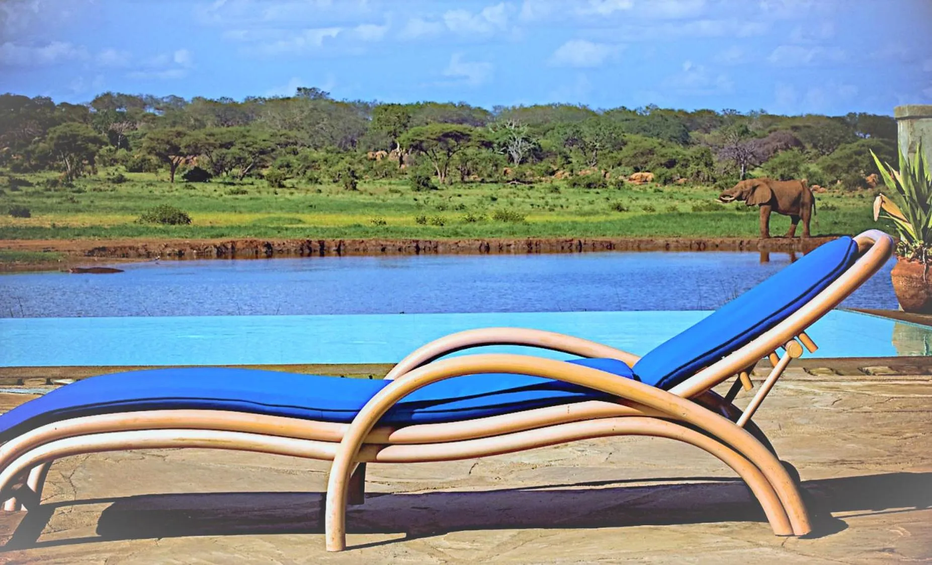 View (from property/room) in Voi Wildlife Lodge